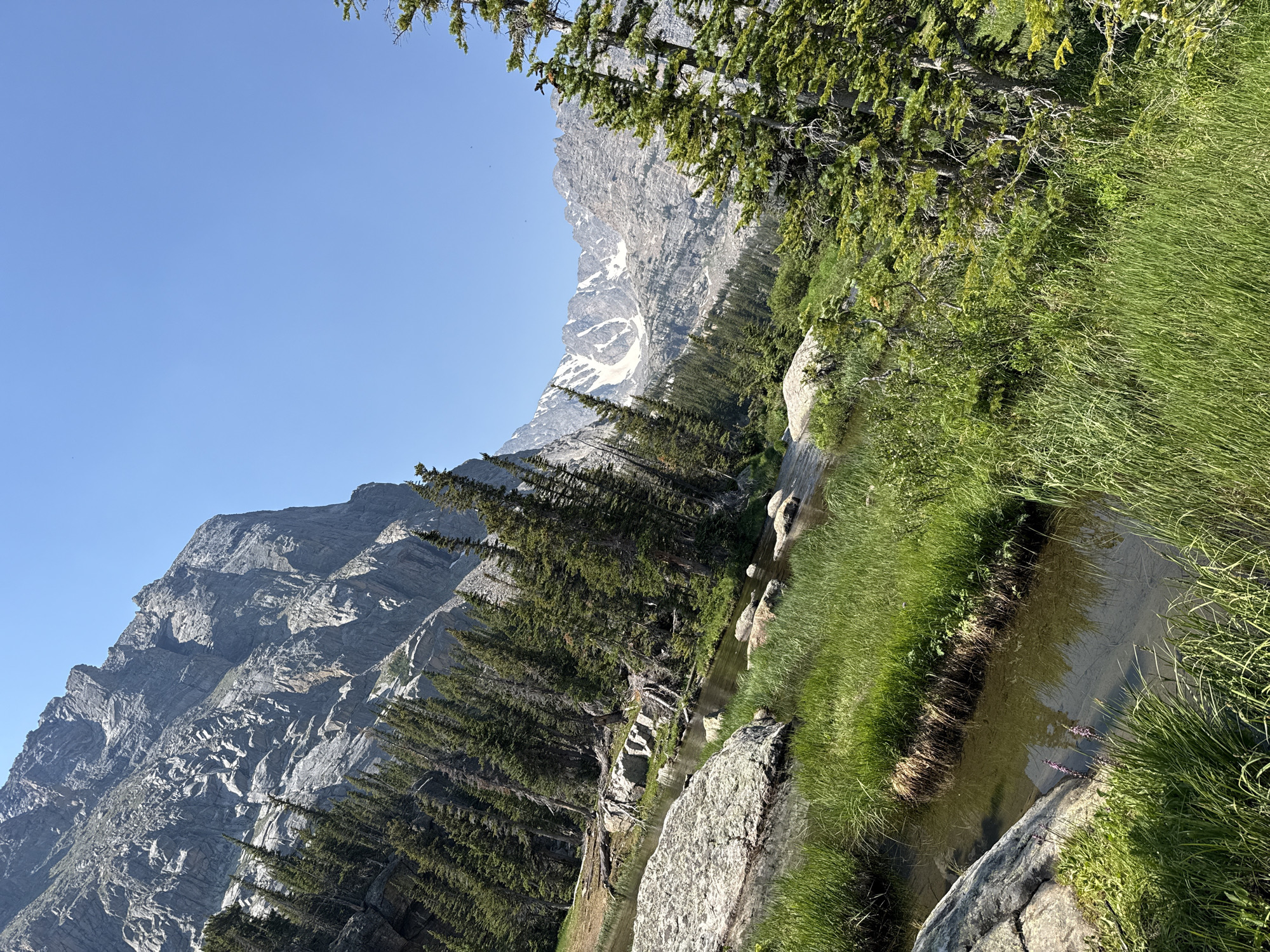 This is a scenic photograph taken outdoors in a mountainous area. The image features a clear blue sky dominating the upper portion. On the left, a steep, rocky mountain face rises dramatically, covered in shadows and textured with visible geological striations. Below the mountain, a dense forest of evergreen trees stretches across the middle ground, with some trees appearing taller and closer to the foreground. A narrow body of water, possibly a stream or creek, winds through the landscape in the lower left and center, bordered by lush green grass and scattered rocks. In the distance, a range of jagged, snow-capped mountains is visible under the bright sky. The overall environment suggests a natural, undeveloped wilderness setting, likely at a higher elevation due to the presence of snow on distant peaks and the type of vegetation. The photograph appears to be taken during daylight hours with the sun casting distinct shadows, indicating a sunny day. There are no people or animals visible in the image. The style of the photograph is landscape, capturing the grandeur of the natural environment. The location is Allenspark, United States.