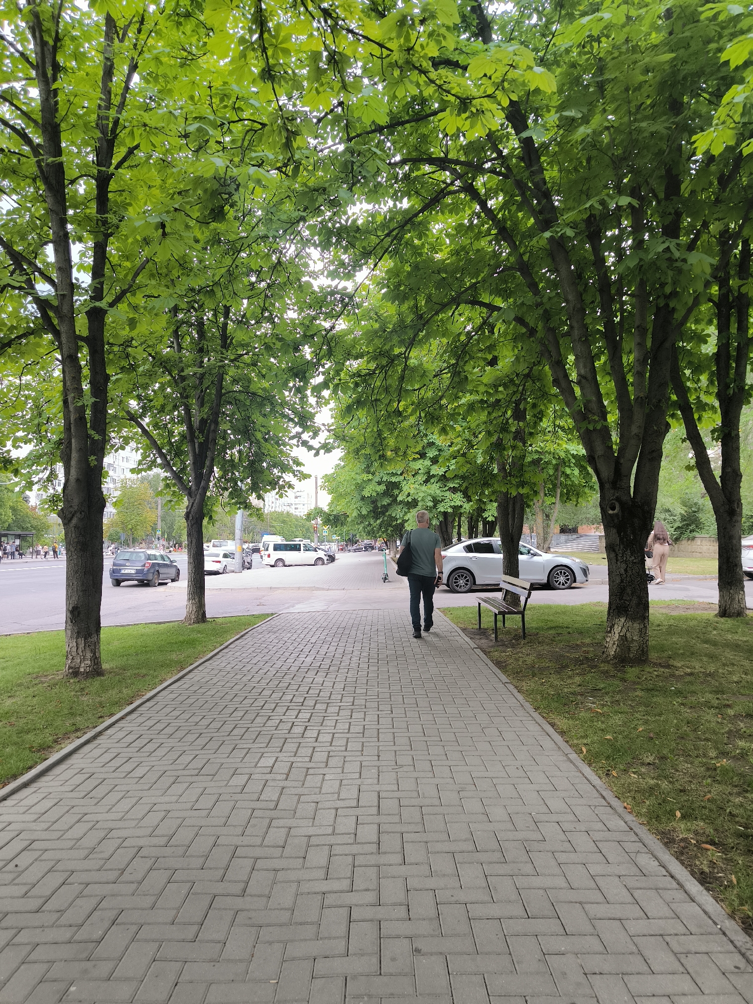 The image depicts a tree-lined pedestrian walkway in Chișinău, Moldova. A man, wearing a green t-shirt and dark trousers, walks away from the camera on the paved path. A bench is visible to his right. Beyond the walkway, a street with traffic, including cars and a white van, is present. Buildings line the street in the background. The trees have lush green foliage, indicating a warm season. The overall scene suggests a pleasant urban environment.
