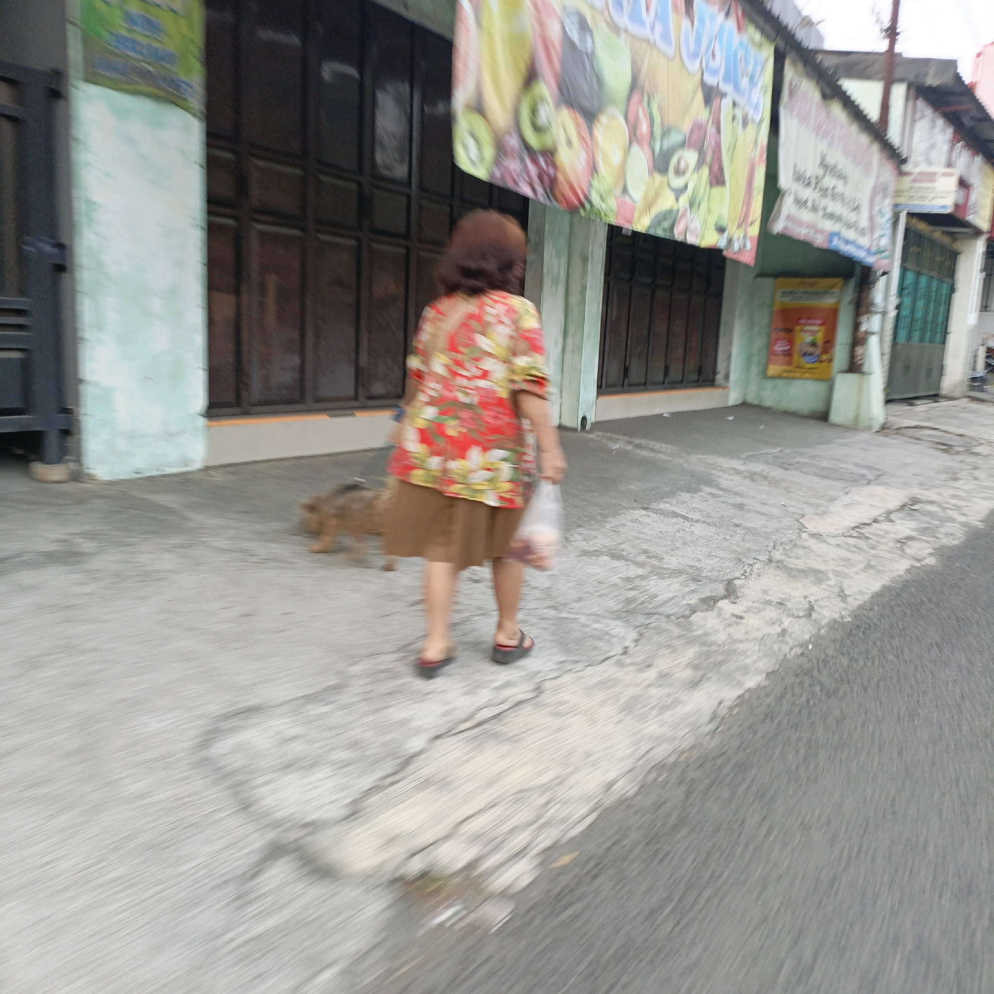 The image depicts a street scene in Salatiga, Indonesia, with a focus on a woman and a dog walking on a sidewalk. The woman, viewed from the back, is wearing a floral print blouse and a brown skirt. She is carrying a clear plastic bag filled with items. To her left and slightly behind her, a light brown dog is being walked on a leash. The background shows the facade of a building with large, dark-colored doors or shutters, and a colorful banner advertising fruit is hanging overhead. Another banner with text is visible further to the right. The ground is a concrete sidewalk with visible cracks and patches of discoloration. The overall scene is slightly blurred, suggesting motion.