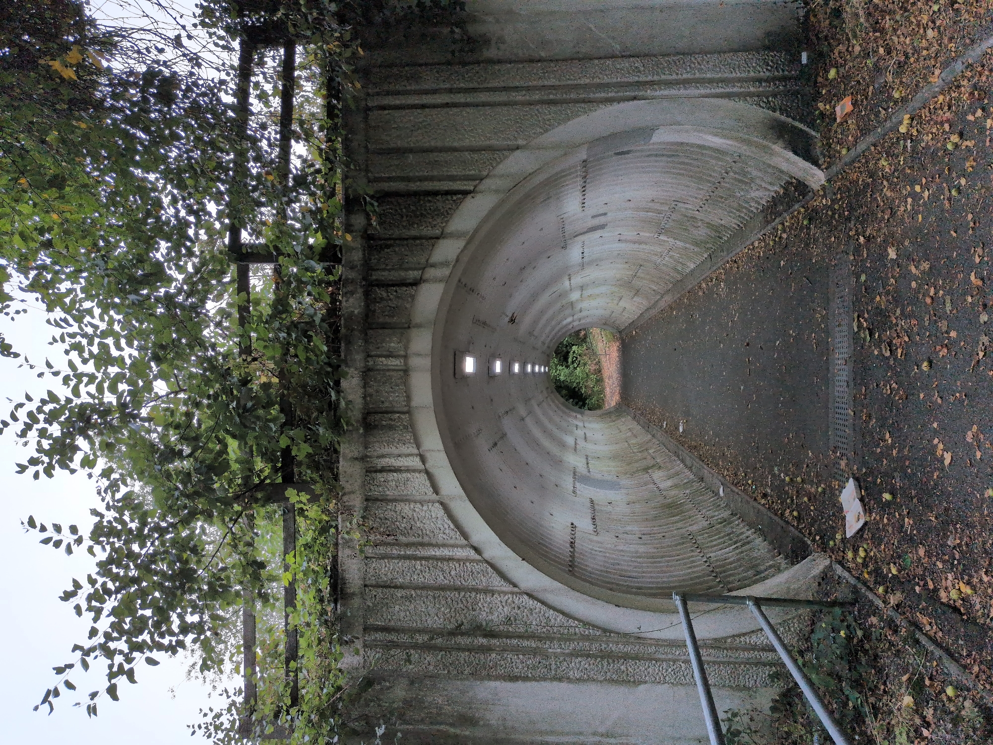 The image depicts a concrete underpass in Dawley, United Kingdom, likely a pedestrian or cycle path. The tunnel has a rounded, arched opening and its interior walls are lined with ribbed concrete. Fluorescent lights are visible at intervals along the ceiling, illuminating the path. The ground inside the tunnel is asphalt, and the area around the entrance is covered with fallen autumn leaves and scattered green spherical objects, possibly fruit or seed pods. A metal railing runs along the left side of the pathway. Above the underpass, a wooden fence is visible, partially obscured by dense green foliage and tree branches. The overall environment suggests an outdoor, possibly semi-natural setting adjacent to urban infrastructure. No people are present in the image.