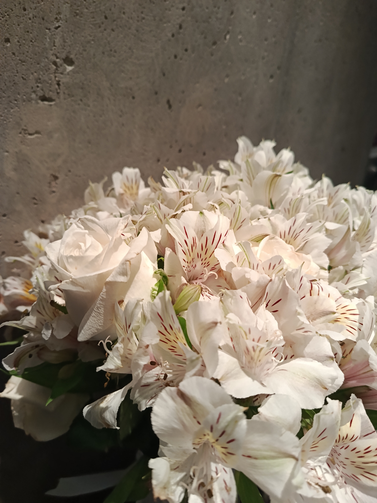 A close-up shot of a bouquet of white flowers is positioned against a textured gray wall. The flowers appear to be a mix of roses and white Alstroemeria, with the Alstroemeria exhibiting fine red streaks on the inner petals. The lighting suggests an indoor setting with a strong light source from the upper left, casting a shadow on the wall. The composition focuses on the textures and colors of the bouquet, with the wall serving as a muted background. There are no people in the image. The scene does not contain sufficient information to ascertain its location within the city of Moscow, Russia.
