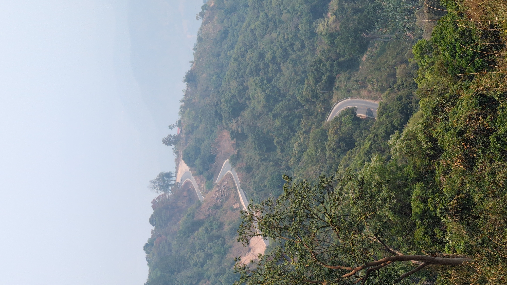 An aerial view shows a winding mountain road in Lâm Sơn, Vietnam. The road has sharp turns and is surrounded by dense green trees. The sky is hazy. A tree with green leaves is visible in the foreground.