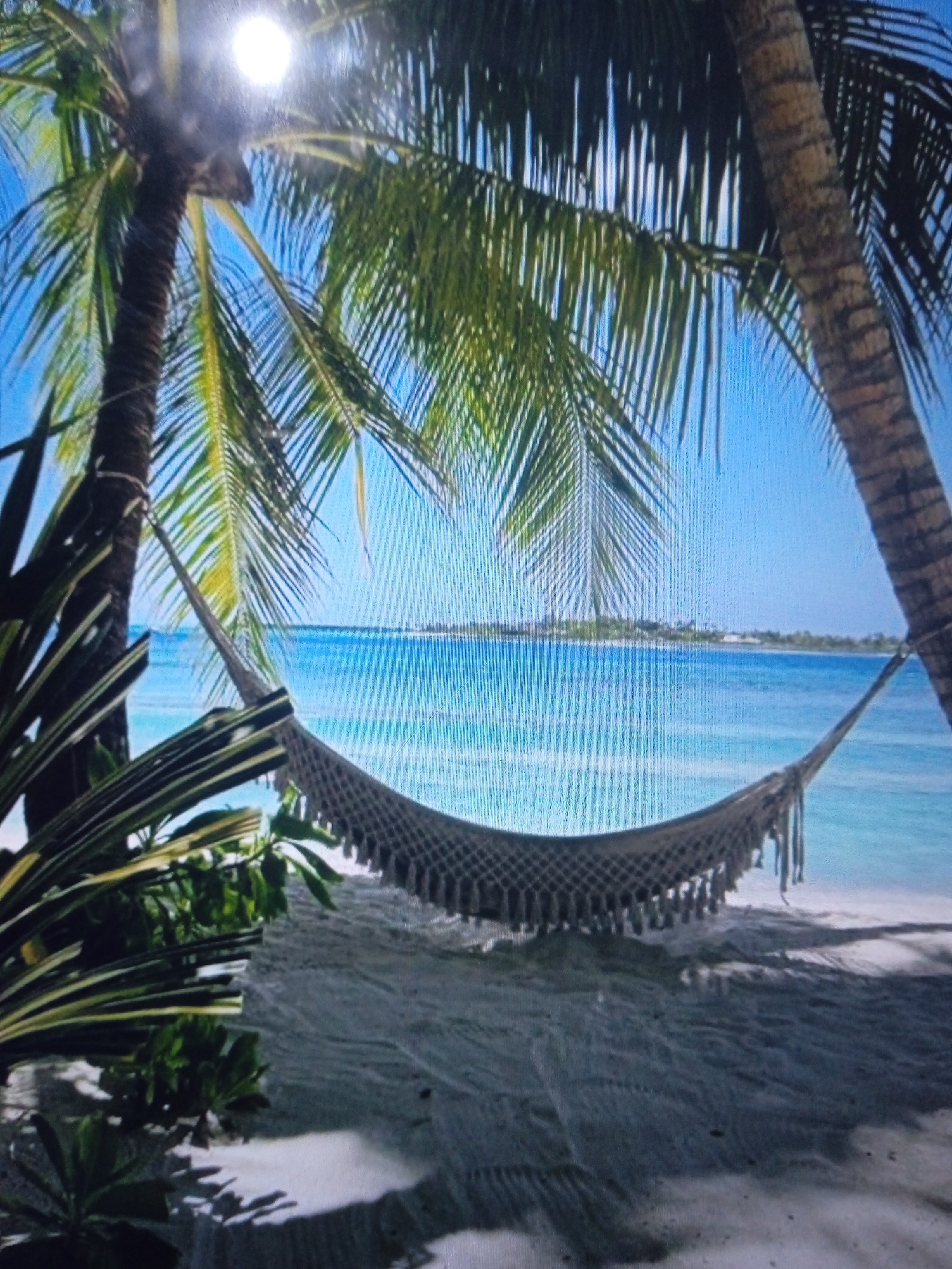 A hammock is suspended between two palm trees on a sandy beach, overlooking a calm, turquoise ocean. The sun shines brightly through the palm fronds, casting dappled shadows on the sand. The water is crystal clear, with a gentle wave breaking on the shore in the distance. A small island or landmass is visible on the horizon. The scene evokes a sense of peace and relaxation. The location is not in Chernivtsi, Ukraine, as it depicts a tropical beach scene.