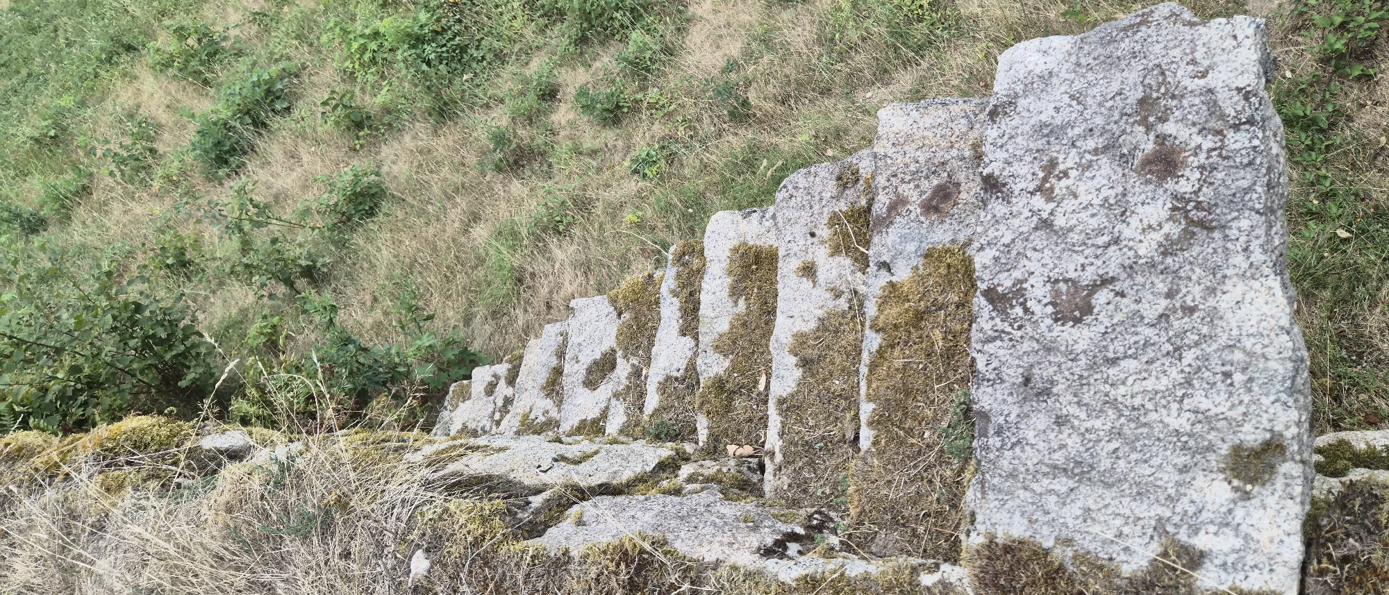 The image shows an outdoor scene featuring a stone staircase overgrown with moss and dry grass. The staircase appears to be ancient and weathered, with some steps missing or damaged. The surrounding environment is a grassy slope with scattered bushes and trees. The lighting suggests it is daytime, with overcast conditions. The image is taken from a high angle, looking down the stairs and the slope. The location is the castle ruins of Forbach, Germany. There are no people or animals visible in the image. The focus is on the natural elements and the decaying structure.