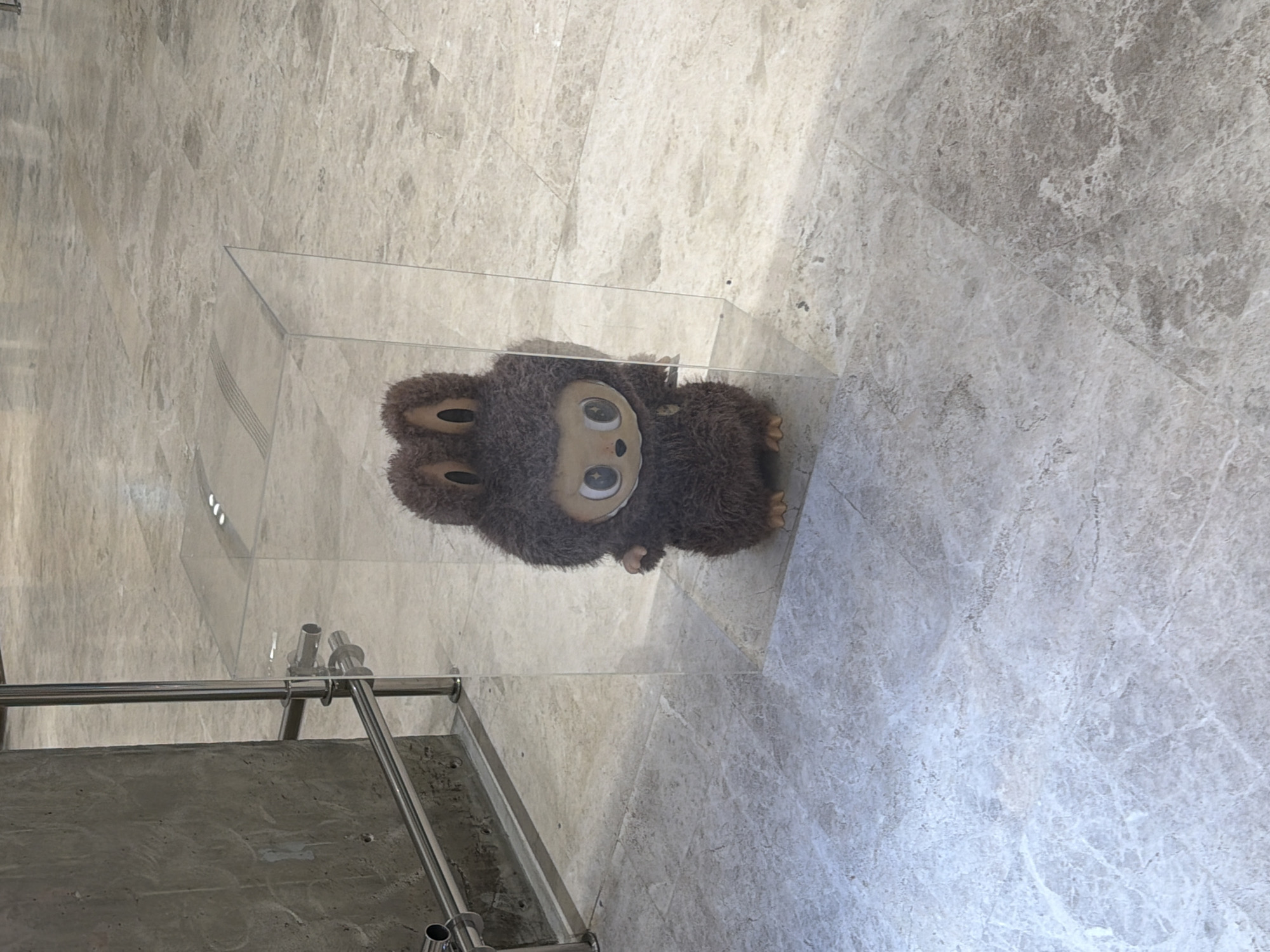 A fluffy, brown, stuffed toy with large, wide eyes and a small mouth is positioned inside a clear plastic cube. The toy has round ears on top of its head. The cube sits on a marble floor. To the left of the cube, there is a concrete wall and a metal railing. The scene appears to be indoors, possibly in a public space. There are no people visible in the image, and no specific details suggest a location in Moscow, Russia.