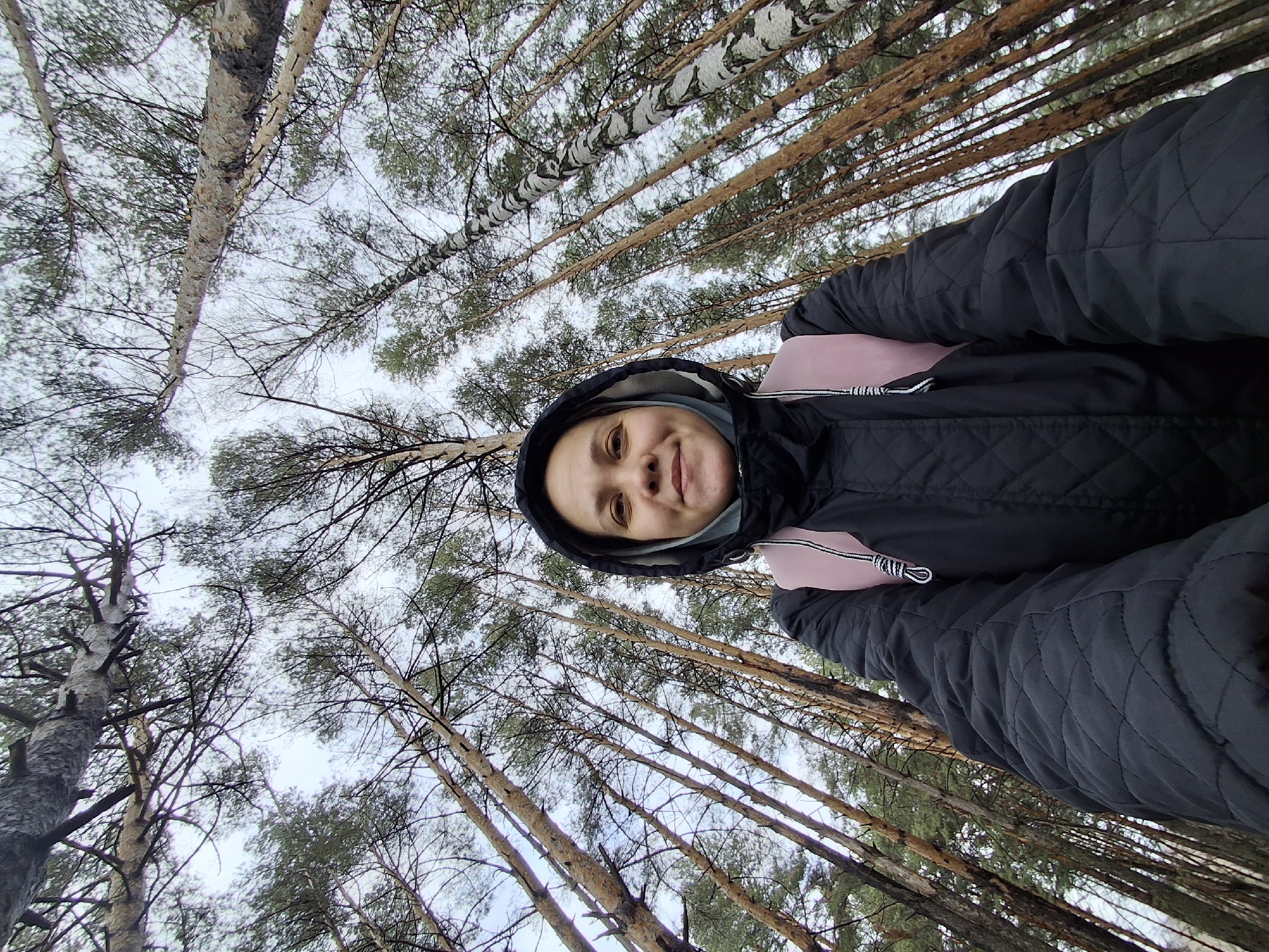 A low-angle selfie captures a woman in a forest in Chaikovsky, Russia, looking up at the canopy. The woman, positioned in the lower right of the frame, wears a black quilted hooded jacket with pink accents on her sleeves or gloves and a lighter-colored top or scarf visible around her neck. She has a gentle, pleasant smile on her face.
The background is dominated by a dense arrangement of tall trees, primarily slender pine trees with some birch trees interspersed, identifiable by their distinct white bark. The camera is angled sharply upwards, making the tree trunks appear to converge towards the center of the sky. The sky is bright and overcast, suggesting a cloudy day, and no direct sunlight or harsh shadows are visible. The overall atmosphere is calm and natural, highlighting the height and density of the forest canopy. No discernible text is visible in the image.