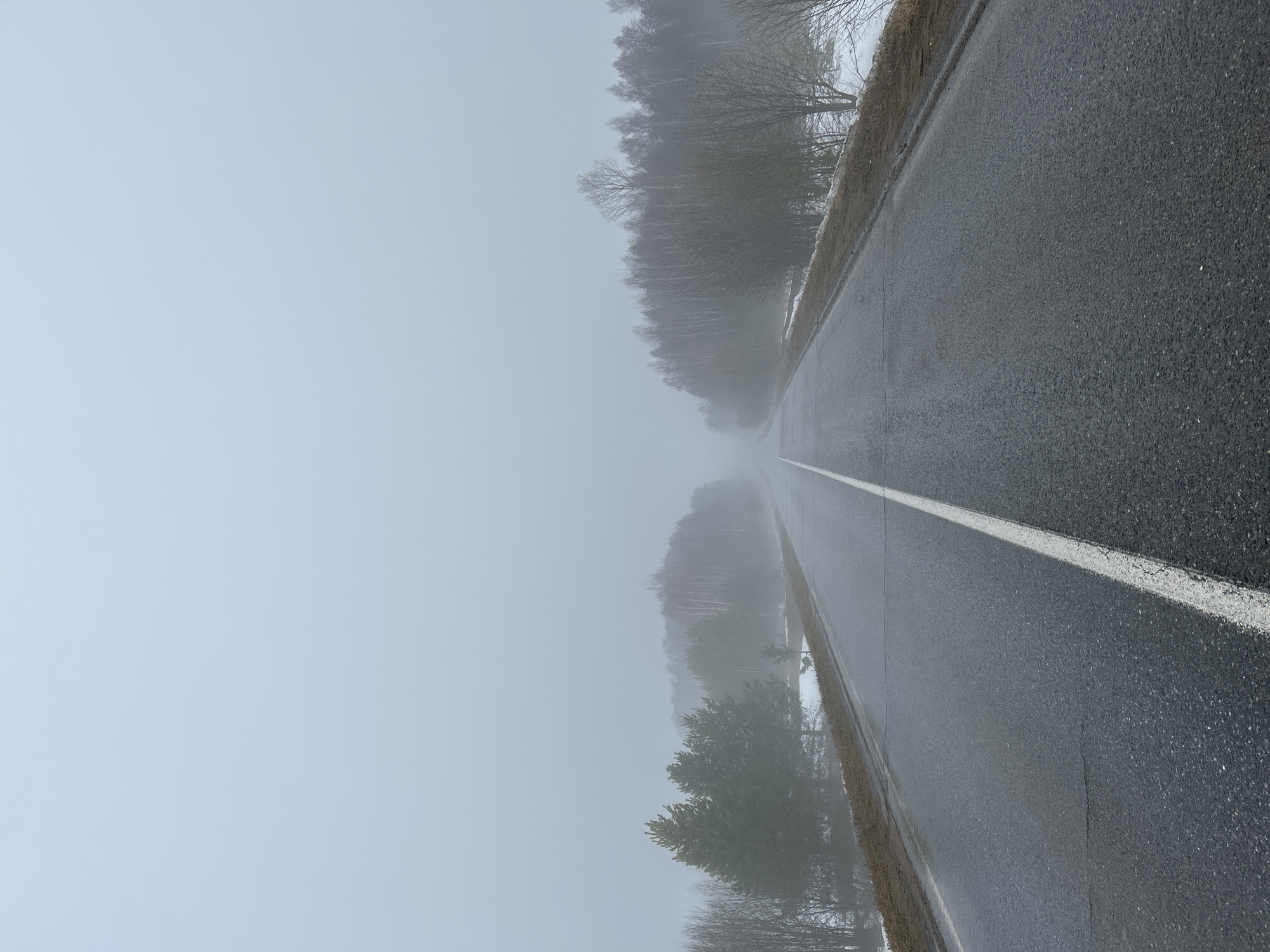 The image shows a straight asphalt road with a solid white centerline receding into dense fog. Trees line both sides of the road, becoming obscured by the fog in the distance. The road surface appears wet. The location is Уральское, Russia.