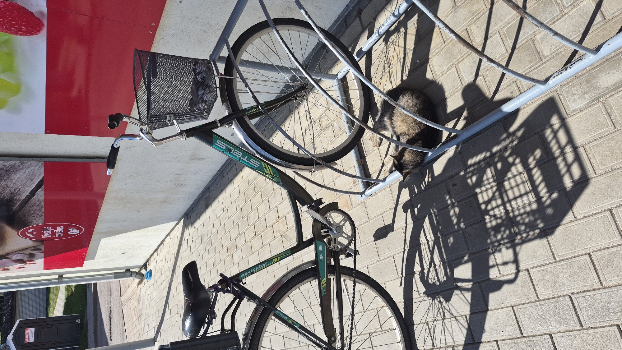 In Dagda, Latvia, on a sunlit day, a bicycle is parked at a bike rack outside a building with a red and white facade. The bicycle, dark green with silver accents, has a wire basket on the front containing various items. Underneath the bicycle and the bike rack, a domestic cat is sleeping. The ground is paved with interlocking concrete tiles, and shadows from the bicycle, bike rack, and an overhead structure are cast across the pavement. In the background, a portable toilet is visible.