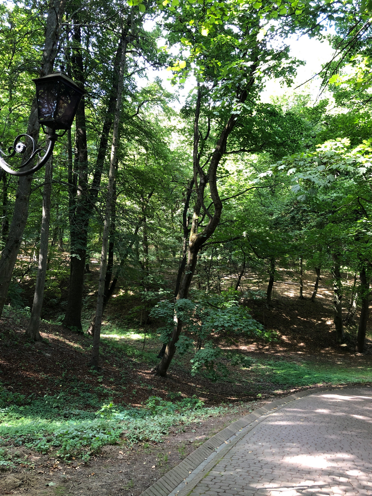 A paved path curves through a wooded area. The path is made of light brown bricks and is bordered by a concrete curb. The trees are tall and leafy, casting dappled shadows on the ground. In the foreground, a vintage-style lantern hangs from an ornate metal post. The lantern is dark metal and has glass panes. The ground is covered with fallen leaves and green undergrowth. The scene appears to be in a park or a forest on a sunny day. This image was taken in Stryiskyi Park in Lviv, Ukraine.