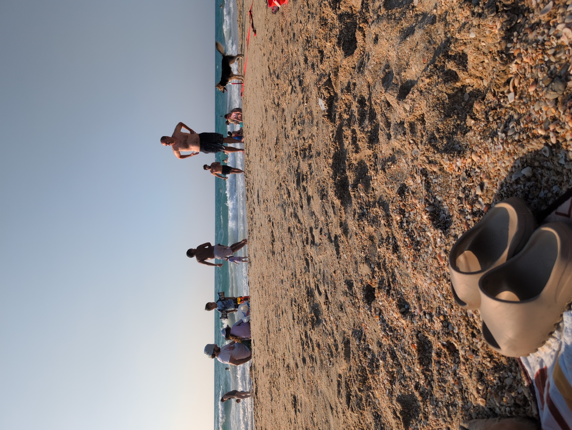 The image depicts a crowded beach scene at Palmachim, Israel. The foreground is dominated by sandy beach littered with small shells. In the midground, a group of people are present at the shoreline, with waves gently lapping the beach. Among the people are children playing in the water and on the sand, as well as adults relaxing. A man is standing on the beach, facing away from the camera with his hands on his hips. A dog, appearing to be a German Shepherd mix, stands on a red towel, looking towards the water. In the background, the sea stretches out to the horizon under a clear, pale blue sky. The overall impression is that of a typical summer day at a popular beach destination.