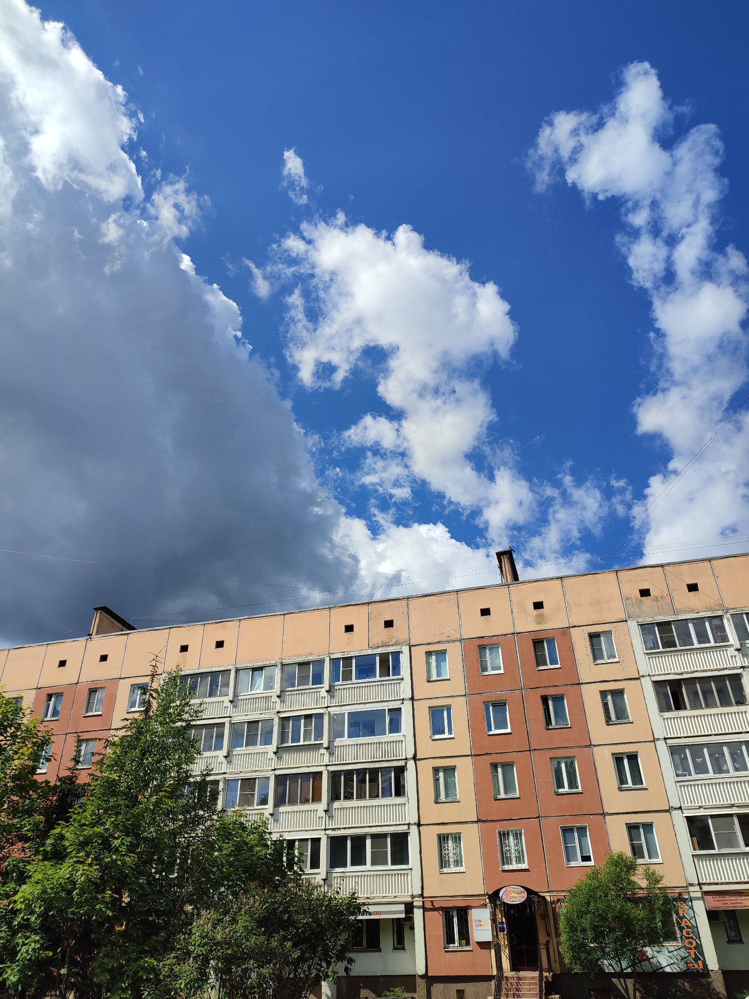 The image shows the facade of a multi-story apartment building in Vsevolozhsk, Russia, under a partly cloudy blue sky. The building is painted in shades of beige and orange, with rows of windows and balconies. Green trees and bushes are visible in the foreground, partially obscuring the lower floors of the building. The sky is dominated by a large, dark grey cloud on the left, contrasting with patches of bright blue sky and smaller white clouds scattered to the right. There are no people or discernible actions depicted in the scene.