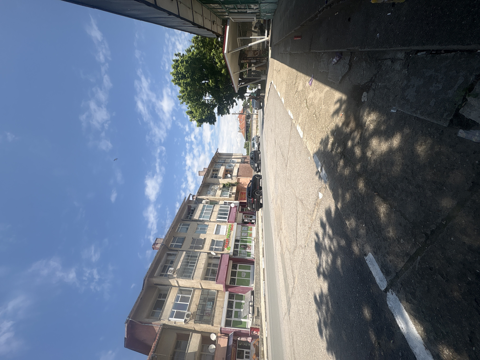 The image depicts a street scene in the village of Tenevo, Bulgaria, under a clear to partly cloudy blue sky. The sun is high, casting distinct shadows of trees and structures across the road and sidewalk, suggesting a mid-day setting.
On the left side of the asphalt road, a multi-story building with a light-colored, somewhat weathered facade dominates. This building features numerous windows, some with enclosed balconies, and several satellite dishes affixed to its exterior. The ground floor houses multiple commercial establishments; one shop displays "Млечен магазин" (Dairy store) and another "Храни" (Food), both with large glass storefronts, some painted green or burgundy. A black SUV is parked on the road in front of these shops.
The road itself is paved with asphalt, marked with a broken white line along its left edge. Tree shadows are prominent across its surface.
On the right side of the image, a concrete sidewalk is visible, appearing uneven and scattered with litter. A prominent green, leafy tree provides shade over a bus stop or public shelter. This shelter has a white roof with red trim and a glass enclosure. Several individuals are gathered near and under this tree and shelter; one person is seated within the shelter, and others are standing nearby. Further right, a partial view of a single-story building with a weathered, possibly green-painted facade is present.
In the background, beyond the main intersection, additional residential buildings with tiled roofs are visible, along with other parked and moving vehicles. A small bird is discernible in the upper left portion of the sky.