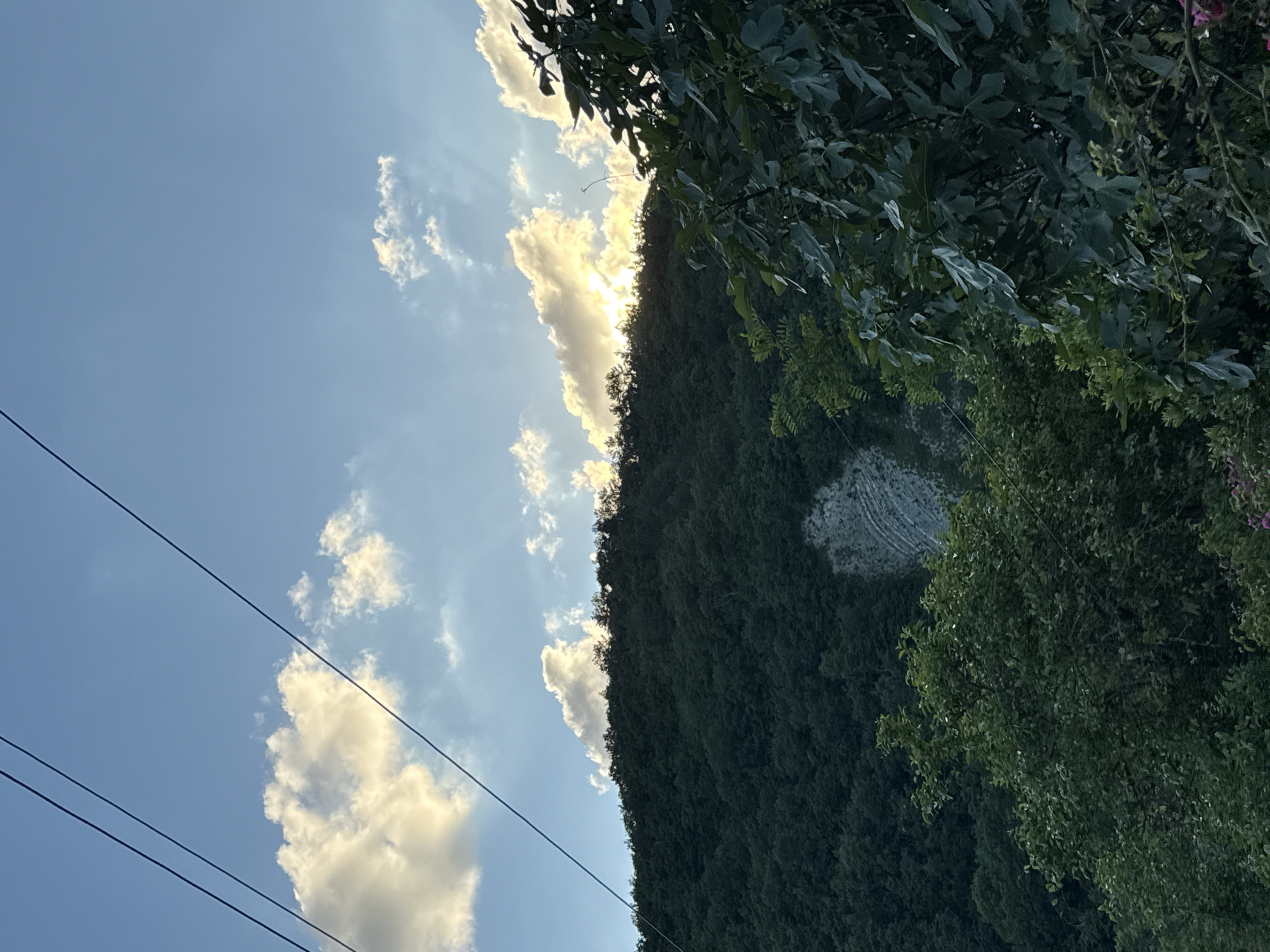 The image depicts a verdant, tree-covered hillside under a blue sky with scattered, sunlit clouds. Power lines stretch diagonally across the upper portion of the frame. The hillside is densely forested, with a visible patch of lighter-colored rock formation partway up. In the foreground, the branches of leafy trees, including some with large leaves, frame the lower right side of the image. The overall impression is a natural landscape at dusk, potentially near Kroyanskoye, Russia, given the context.