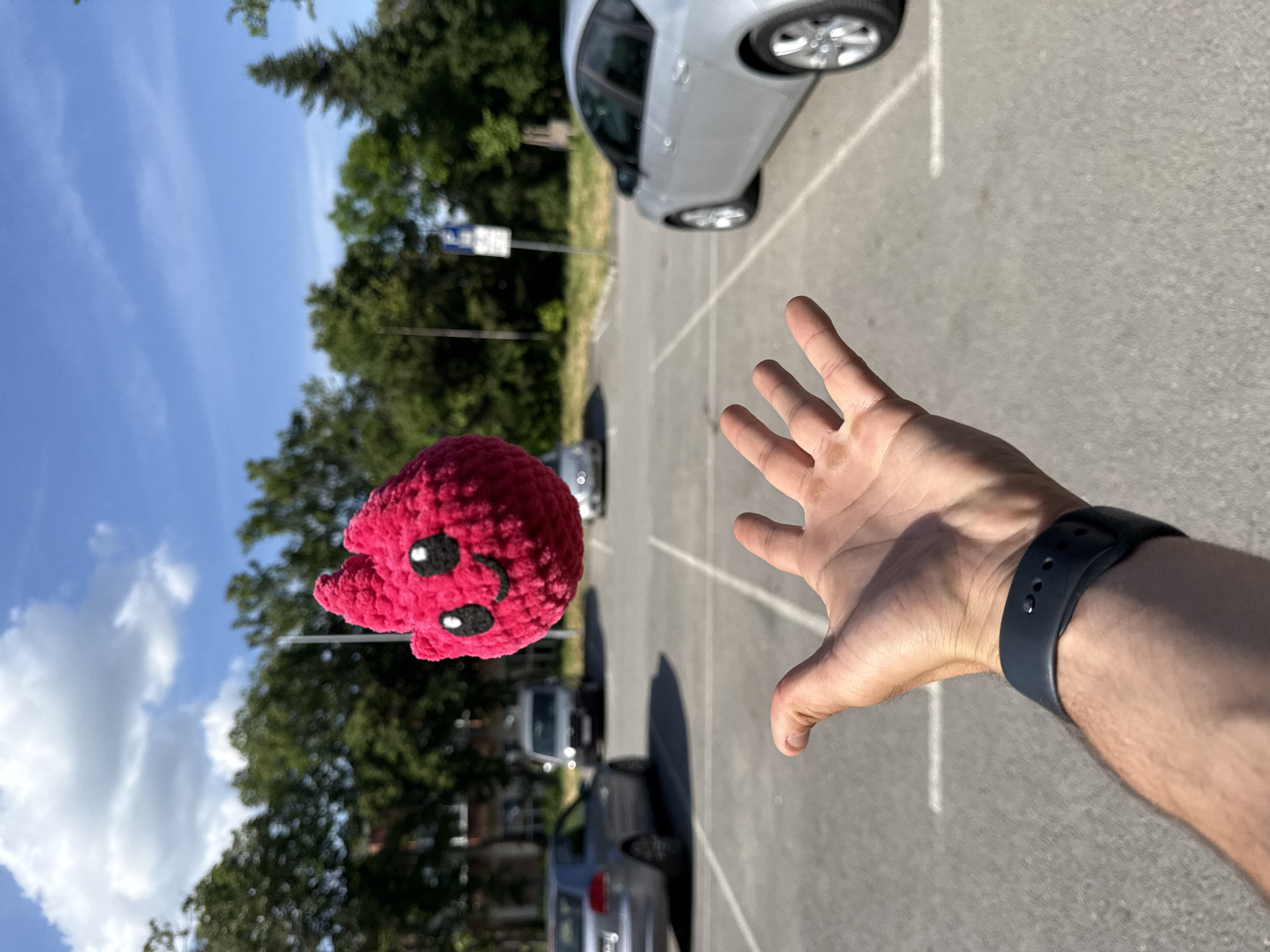 The image depicts a hand, presumably belonging to the photographer, reaching out towards a pink crocheted octopus toy suspended in the air. The scene is set in an outdoor parking lot. Several parked cars are visible, and trees line the perimeter of the parking area. The sky is blue with some clouds. While the location cannot be confirmed, the city of Shumen, Bulgaria was specified in the prompt, but is not visibly apparent in the image.