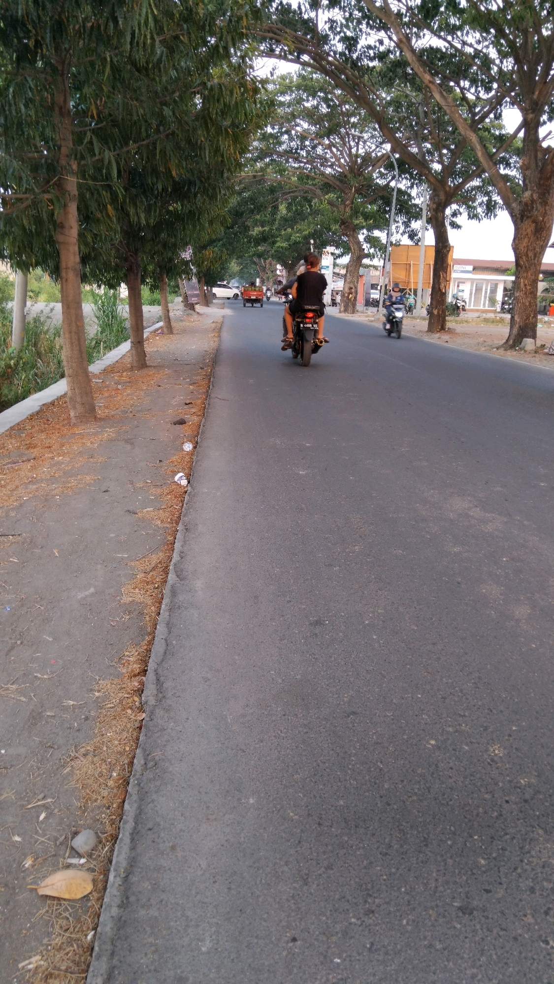 The image shows a street scene in Tegal, Indonesia, likely taken in the late afternoon given the lighting. On the right side of the road, there is a motorcycle carrying two people, a rider and a passenger, heading away from the camera. The rider is wearing a black shirt and the passenger, a woman, is also wearing a dark top. The motorcycle has a license plate that reads "B 4498 UZC". Further down the road, another motorcycle with a rider is visible, approaching the viewer.
To the left of the road, a sidewalk is present, lined with trees that cast shadows across the pavement. The sidewalk appears somewhat untidy, with fallen leaves and a few pieces of litter. Beyond the sidewalk, there is a strip of vegetation and then more trees. In the background, buildings and a white vehicle can be seen. The road itself is asphalt and appears to be a well-trafficked street. The overall atmosphere is casual, with elements of everyday life in a city.