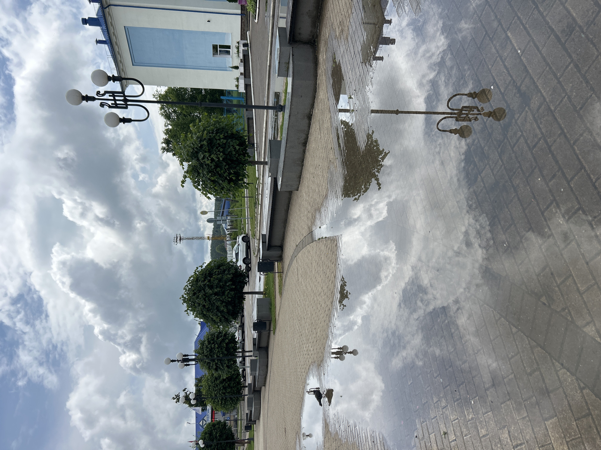 A pigeon stands on a wet, paved area in front of a building. The paved area reflects the cloudy sky and a lamppost. In the background, there are trees, cars, and another lamppost. The building in the background is white with a blue section and a blue roof. The scene appears to be in a public space, possibly a park or plaza, in the city of Chaikovsky, Russia.