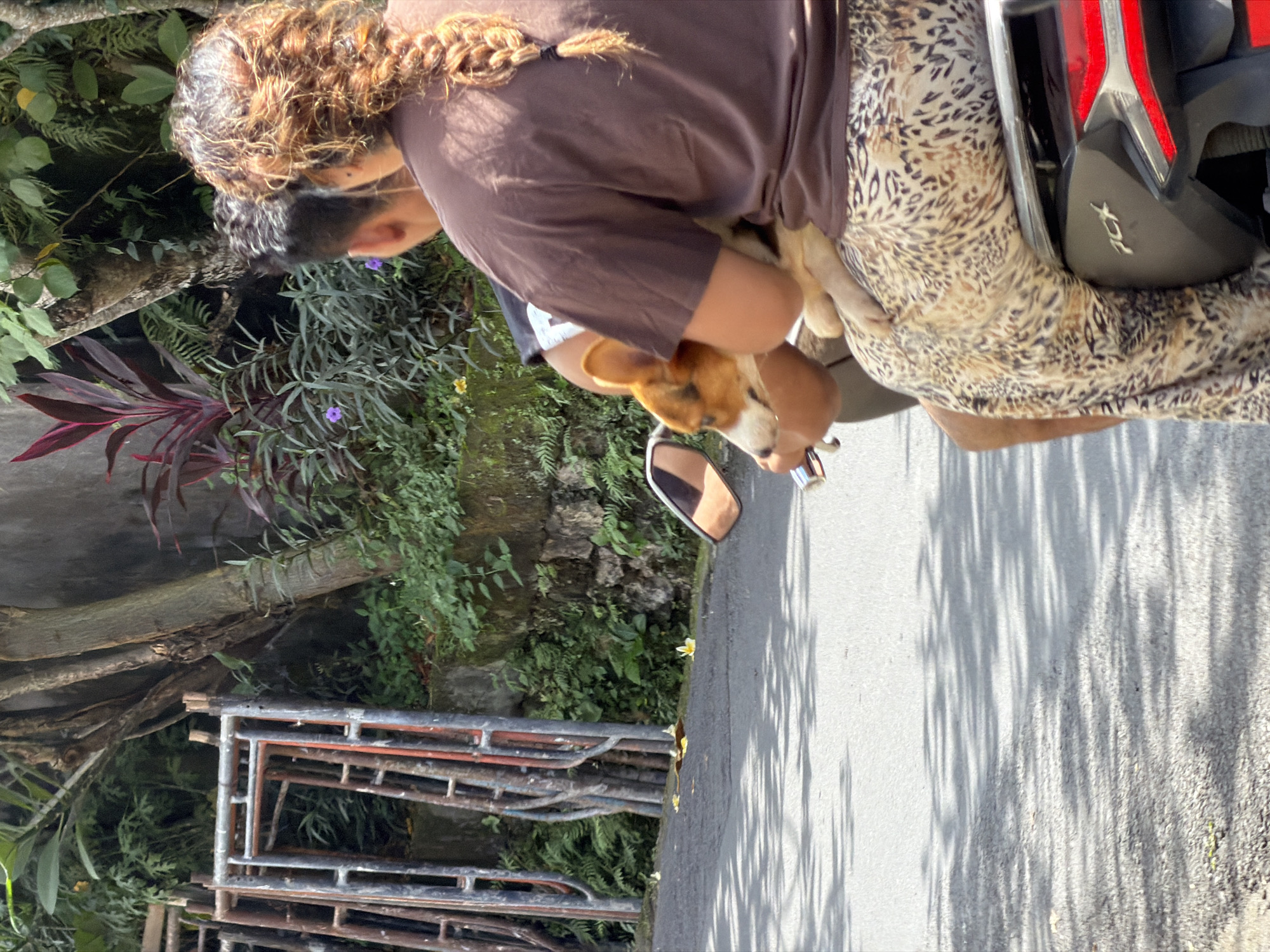 A woman with braided hair, wearing a brown t-shirt and patterned pants, sits on a parked motorcycle and holds a brown and white dog. The motorcycle is a black PCX model. The location is near a concrete wall with lush green plants in North Kuta, Indonesia. Metal scaffolding is visible in the foreground. The ground is paved and appears to be a road.