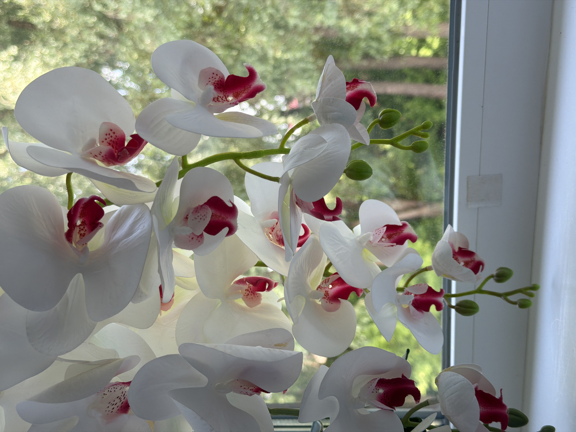 A close-up, vertical, eye-level shot showcases a cluster of artificial white orchid flowers with deep pink interiors, set against a blurred background of green foliage and trees visible through a window. The orchids are arranged in a cascading manner, with some flowers in full bloom and others as developing buds. They are placed on a white windowsill, with the window frame visible at the bottom of the image. The lighting appears to be natural, coming from the window, creating soft shadows on the petals.