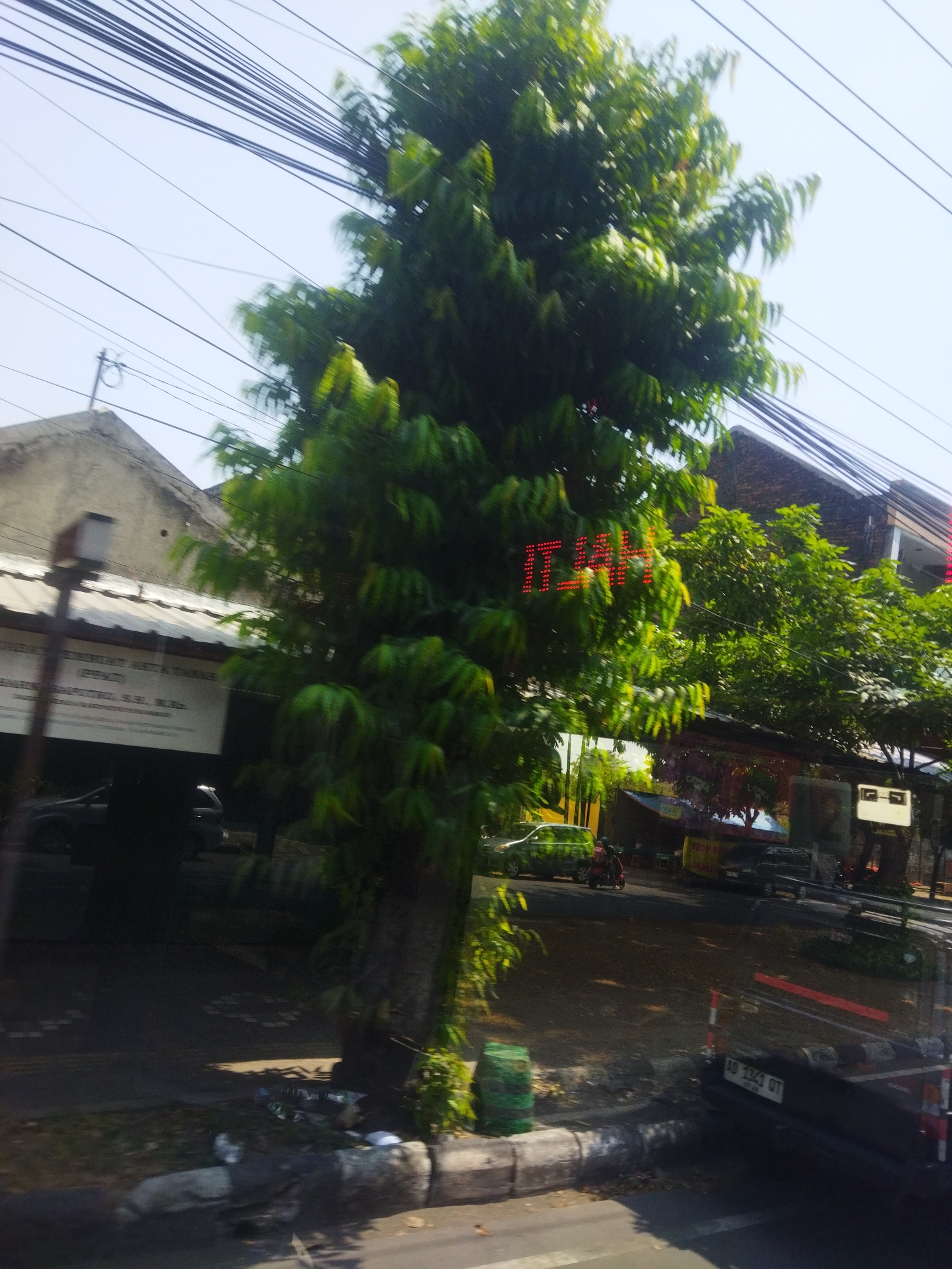 The image captures a street scene in Grogol, Indonesia, with a focus on a tall tree in the foreground and buildings and vehicles in the background. The tree is lush green and dominates the center of the frame, with its leaves appearing somewhat blurred due to motion or focus. Above the tree, a tangle of black wires crisscrosses the sky, suggesting an urban or suburban environment.
To the left of the tree, a portion of a building is visible, with a sign on its facade. The sign appears to be a white banner with text printed in black. A small white box-like structure is mounted on a pole in front of this building.
To the right of the main tree, more foliage is visible, along with another building that has a dark brick exterior and windows. A red LED sign displaying the word "ILAH" in segmented characters is affixed to this building, partially obscured by the tree.
In the middle ground, several vehicles are present. A green car is parked or driving on the street, and a motorcycle with a rider is also visible. Further back, a black car is parked, and its license plate, "AD 1341 OT", is partially legible. The street is paved, and there is a sidewalk with a concrete curb. Scattered on the ground near the curb are some pieces of trash. The overall lighting suggests it is daytime, with a bright sky. The scene appears to be captured from a moving vehicle, as indicated by the motion blur in the foliage and the perspective.