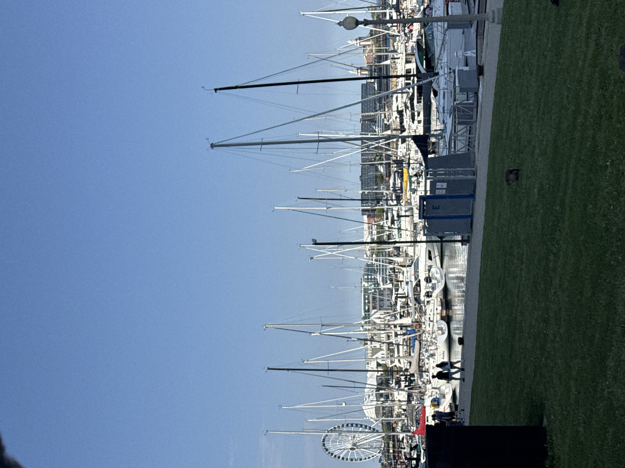 This image depicts a marina filled with sailboats on a sunny day in Chicago, USA. Many sailboats are moored side-by-side, their masts reaching into a clear blue sky. A sidewalk runs alongside the marina, separating the water from a green grassy area. A large Ferris wheel is visible in the distance. People are walking along the sidewalk.