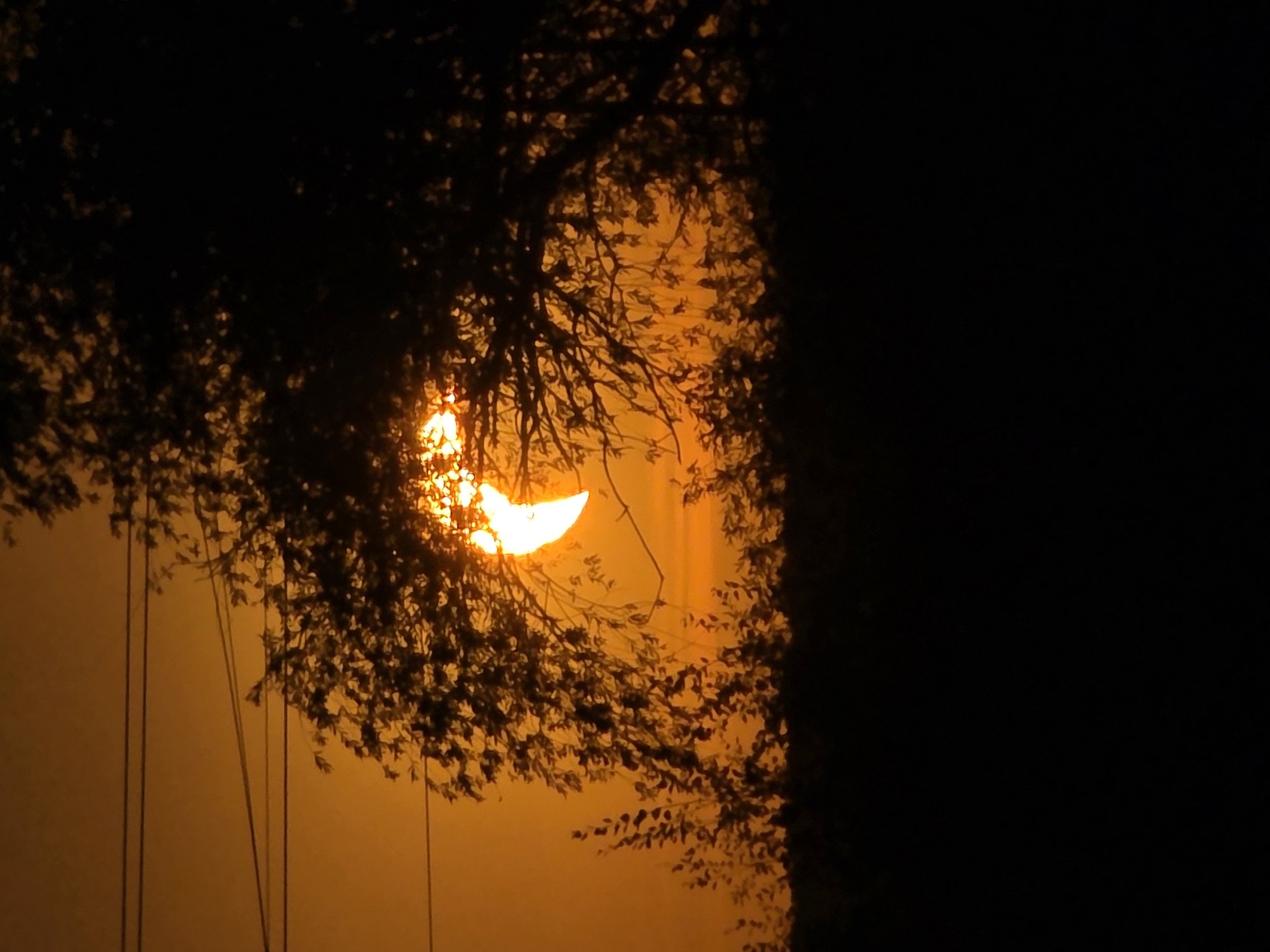 A crescent-shaped sun is visible through the silhouette of a tree against a hazy orange sky. The sun appears to be setting or rising, its light diffused by atmospheric conditions. The tree's branches and leaves create a dark, intricate pattern in the foreground, obscuring parts of the sun. Below the tree, a dark silhouette of foliage and possibly a horizon line is visible. Three horizontal power lines are stretched across the upper portion of the frame. The overall scene suggests an outdoor environment, likely rural or semi-rural, given the presence of trees and power lines. There are no people or specific landmarks identifiable within the image.