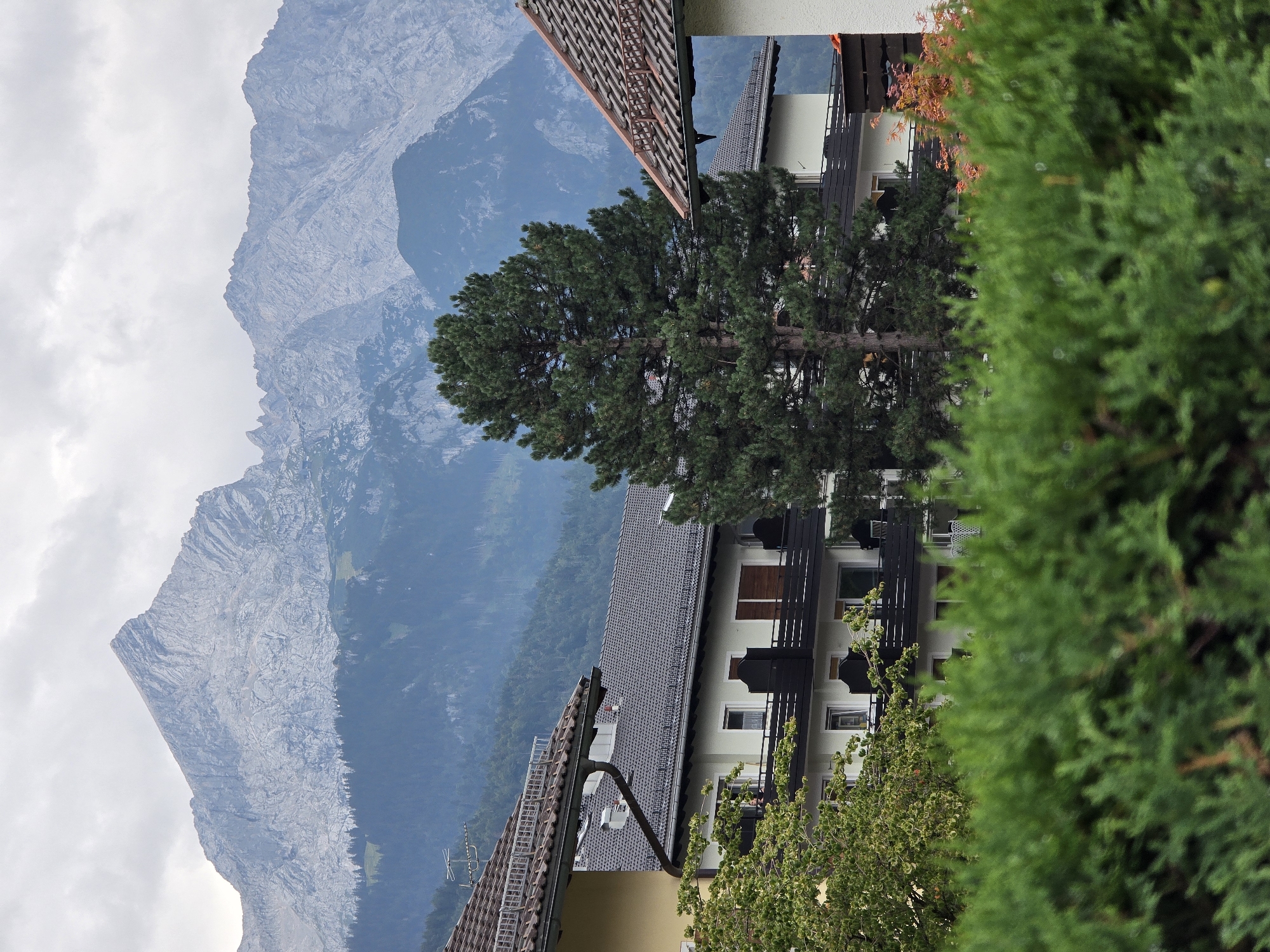 A moderately distant outdoor, vertical, eye-level shot captures a view of a residential building with a large evergreen tree in front of a mountain range under a cloudy sky. The building has a light-colored facade, dark balconies, and a dark-tiled roof. The evergreen tree is tall and dense, obscuring parts of the building. Behind the building and the tree, a vast mountain range with jagged, rocky peaks dominates the background, partially obscured by a hazy sky. In the foreground, a dense, blurred green hedge occupies the bottom of the frame. The scene appears to be set in Garmisch-Partenkirchen, Germany, given the characteristic architecture and mountainous landscape. No people are visible in the frame. The lighting suggests an overcast day.