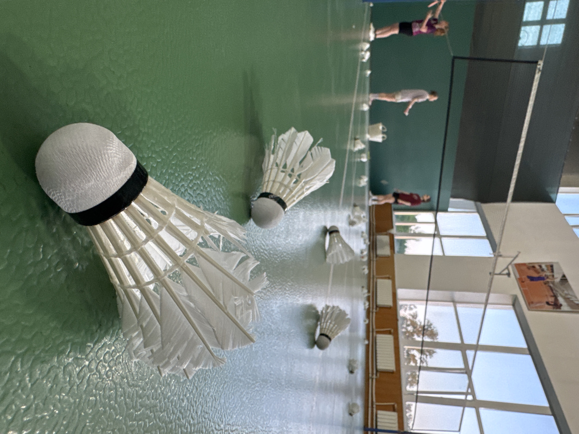 This image displays an indoor sports hall in the city of Saint Petersburg, Russia, configured for badminton. The foreground is dominated by two sharply focused white badminton shuttlecocks, each featuring a black band at its cork base, resting on a textured, reflective green synthetic sports floor.
The midground features the green floor extending backward, liberally strewn with numerous other white badminton shuttlecocks, some appearing out of focus. Three individuals, presumed to be female, are visible: the leftmost person, partially cropped, wears a dark purple top, black shorts, and white athletic shoes, and holds a badminton racket. A second person in the center-left wears a light-colored t-shirt and light shorts. A third person, positioned center-right, wears a dark red top and dark shorts, standing near the badminton net. A white bucket, likely containing shuttlecocks, rests on the floor between the second and third individuals. A dark badminton net spans horizontally across the midground, with its support structure visible on the right.
The background consists of a dark teal-green lower wall topped by a white upper wall. Large, multi-paned windows with white frames line the right side of the hall, admitting ample natural light and revealing a clear blue sky and distant trees. Below these windows, several white radiators are mounted against a light brown wall panel. A rectangular, framed image depicting a sports scene is affixed to the upper right wall. The scene suggests a badminton training session or practice.