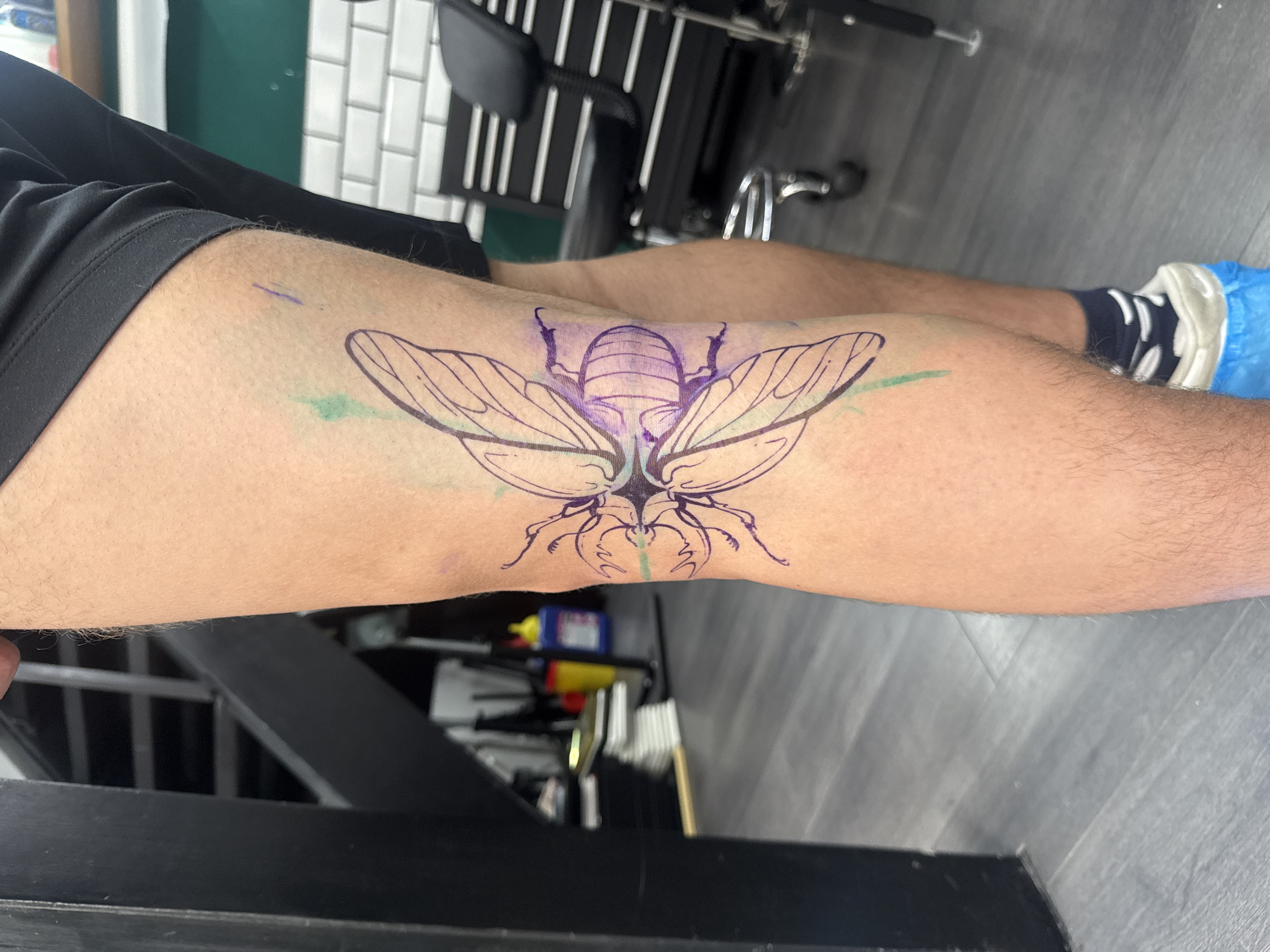 A human leg is seen with a large, intricate tattoo design of an insect with prominent wings spanning across the front of the lower leg. The design is in an outlined, somewhat sketchy style, inked in what appears to be purple/blue. There are green smudges or markings on the skin surrounding the tattoo design. The leg is partially visible, showing the upper part of the lower leg and the lower part of the upper leg. The skin is pale and somewhat hairy. The person wearing the tattoo is dressed in black athletic shorts. There is a chair in the background with a white subway tile wall. The floor is gray and looks like laminate wood flooring. The scene seems to be taking place in a tattoo studio. There is no specific information available in the image to confirm this is in Sofia, Bulgaria.