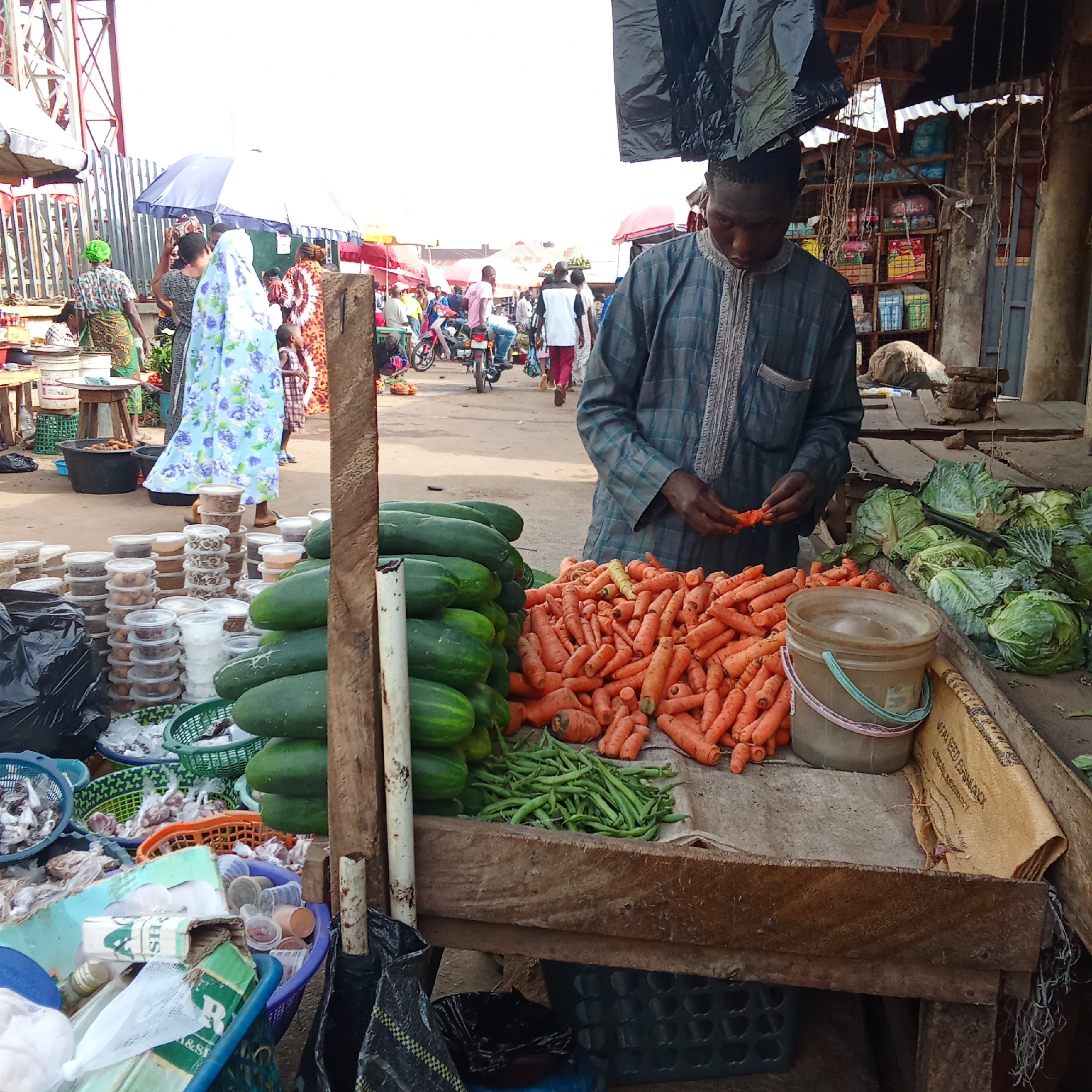 This vibrant photograph captures a bustling open-air market scene in Akwanga, Nigeria, during bright daylight.
In the foreground, a male vendor, dressed in a traditional light blue and grey checkered tunic with embroidered details, stands behind a rustic wooden stall. He is actively engaged with his produce, holding a piece of carrot in his hands, possibly trimming or preparing it for sale. His stall is abundantly stocked with fresh vegetables: a large pile of orange carrots, a prominent stack of long green cucumbers, a scattering of green beans, and several heads of green cabbage. A light-colored plastic bucket sits on the stall next to the carrots. To the vendor's left, numerous clear plastic containers, filled with various small food items such as nuts, spices, or dried goods, are neatly stacked, indicating a variety of provisions available. Black plastic bags are also visible near the base of the stall.
The midground and background reveal a lively market environment. Several people, including women in brightly colored traditional attire and head coverings (one notably in a blue and white floral veil, another in a green headwrap), navigate the crowded pathways. They appear to be shoppers or other vendors. Further back, a motorbike is visible, indicating common modes of transport. The market consists of various makeshift structures, some featuring wooden frames and corrugated iron roofs, providing shelter and display areas. Umbrellas are also deployed to offer shade from the sun. On a sack draped over the vendor's stall, part of the text "WALFEED EGGSMAX" is visible. Another small package in a basket to the lower left shows "HS".
The scene depicts a typical day in a bustling African market, characterized by everyday commerce, an abundance of fresh produce, and a steady flow of people engaged in their daily routines. The overall impression is one of activity and local trade.