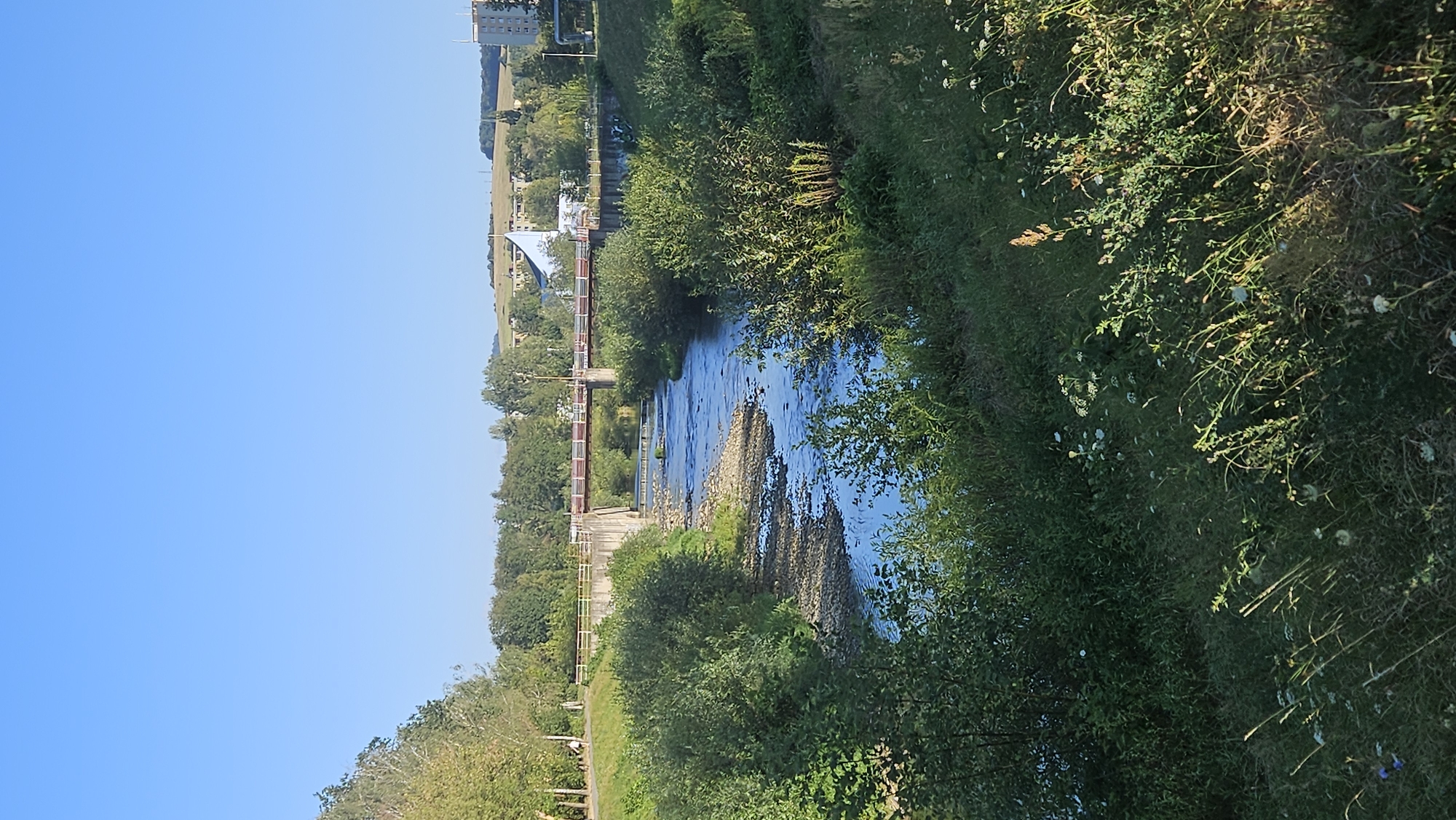 This image captures a serene view of the Torysa River flowing through the city of Prešov, Slovakia. The riverbanks are lush with green vegetation, including trees and various grasses, some of which have small white flowers. A concrete bridge, possibly a dam or a pedestrian bridge, spans the river in the mid-ground, with a red railing on top. Further in the background, several buildings are visible, including a tall, light-colored apartment building and other structures nestled among the trees. A distinctive blue-roofed building with a geometric design stands out against the green landscape. The sky is clear and bright blue, indicating a sunny day. In the foreground, the grassy bank slopes down towards the river, with wildflowers and tall grasses. A person is visible walking on a paved path to the left of the bridge, and another person can be seen on the grassy embankment further to the left, near the trees. The scene suggests a tranquil, natural setting within an urban environment.