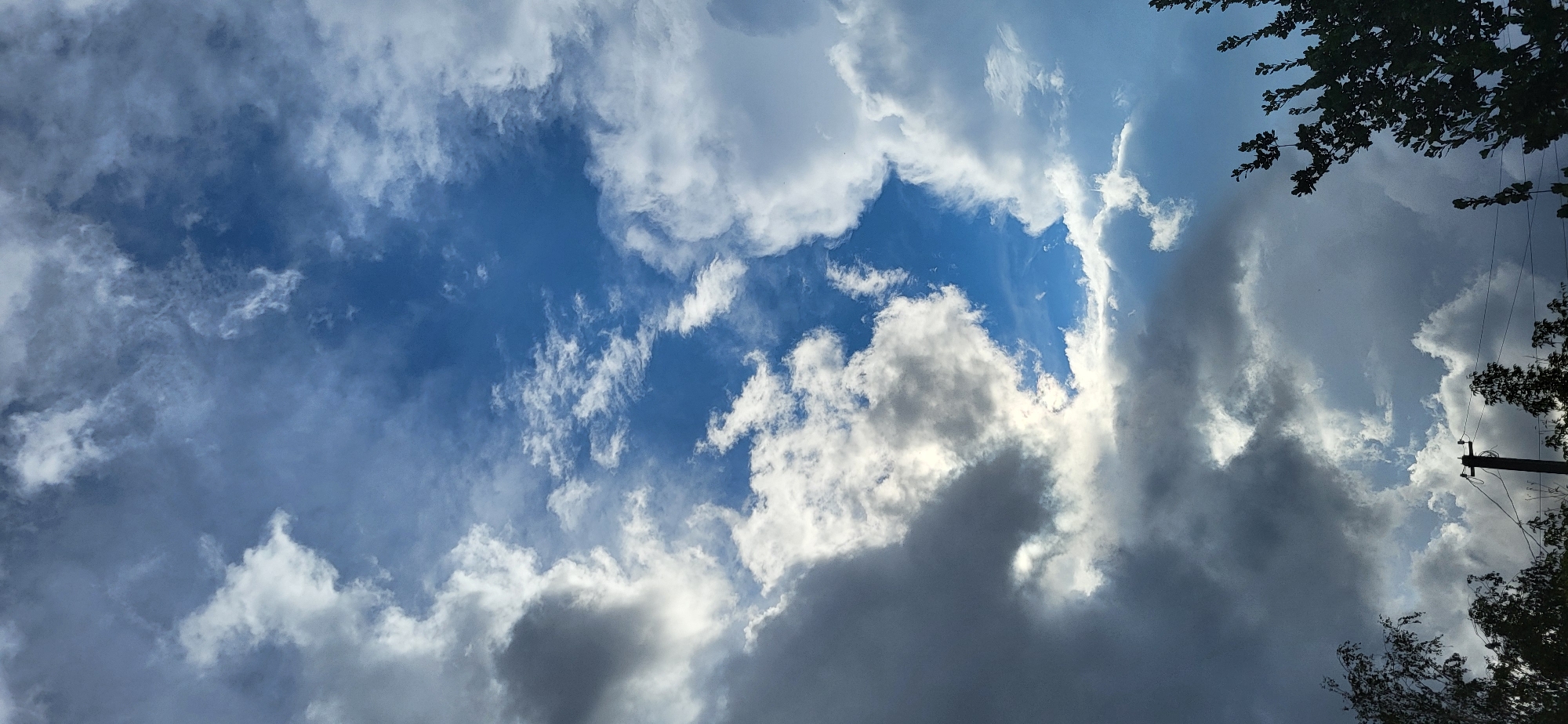 This is a vertical, eye-level, close-up, outdoor photograph of a dramatic sky with varied cloud formations. The sky transitions from a bright, clear blue in the center to heavy, dark, and light gray clouds that dominate the upper and left portions of the frame. Wispy, white clouds are interspersed throughout the blue areas. The bottom of the image features the dark silhouettes of trees, a utility pole with wires, and other foliage against the lighter sky. The lighting suggests it is daytime, possibly before or after a storm, with sunlight filtering through gaps in the clouds. The location is identified as Oskemen, Kazakhstan.