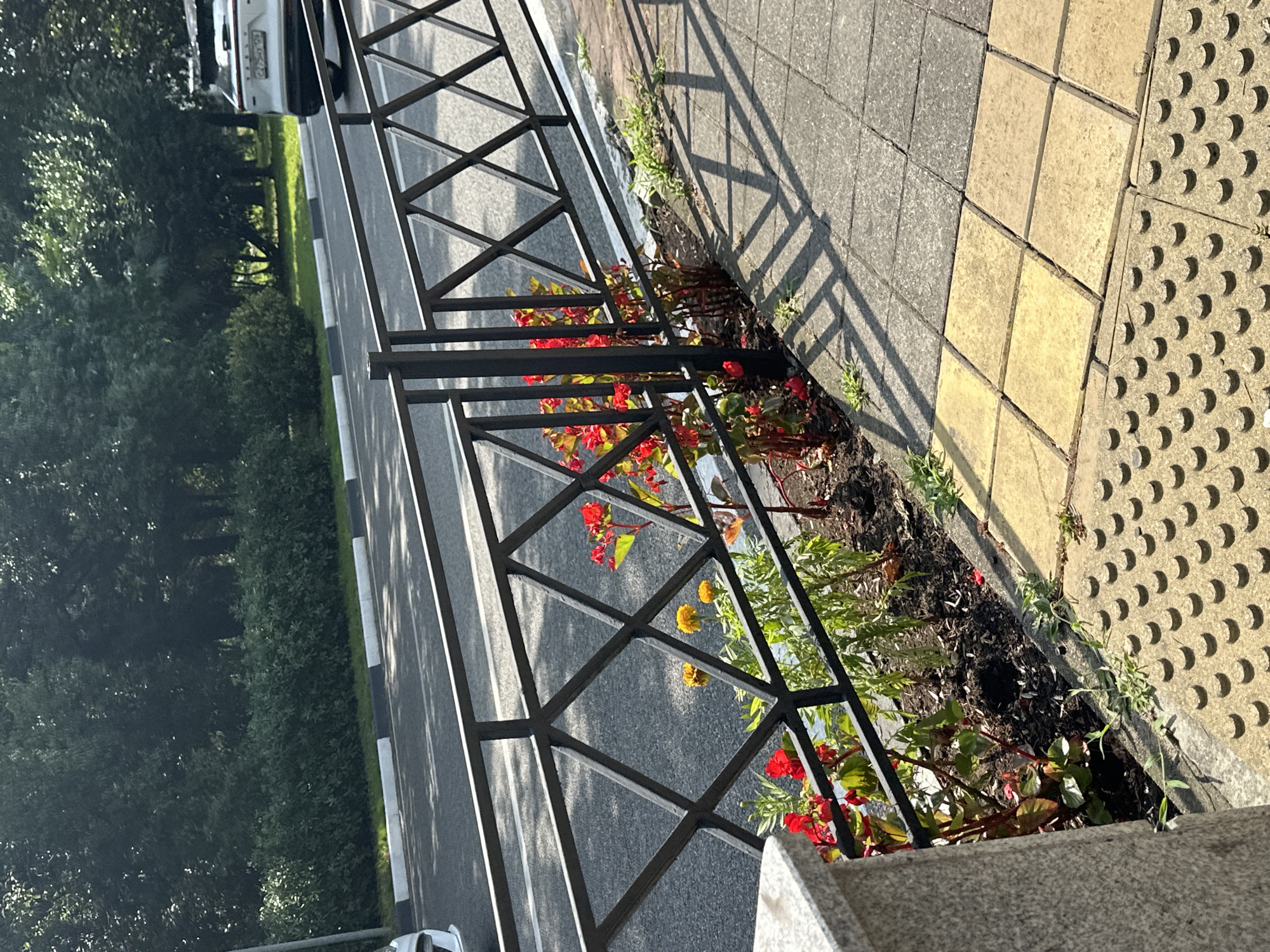 The image depicts a street scene in Sochi, Russia. A black metal fence with a diamond pattern runs along the edge of a paved walkway. In front of the fence, a flowerbed contains red and yellow flowers. Beyond the walkway, a paved road is visible, with a white line marking the edge. In the background, trees and bushes form a dense green border, and a white SUV is parked on the roadside. The sun casts shadows from the fence onto the walkway, creating a geometric pattern. The walkway is made of square tiles, some of which are yellow and some gray. A section of tactile paving with raised circular patterns is also present along the edge of the walkway.