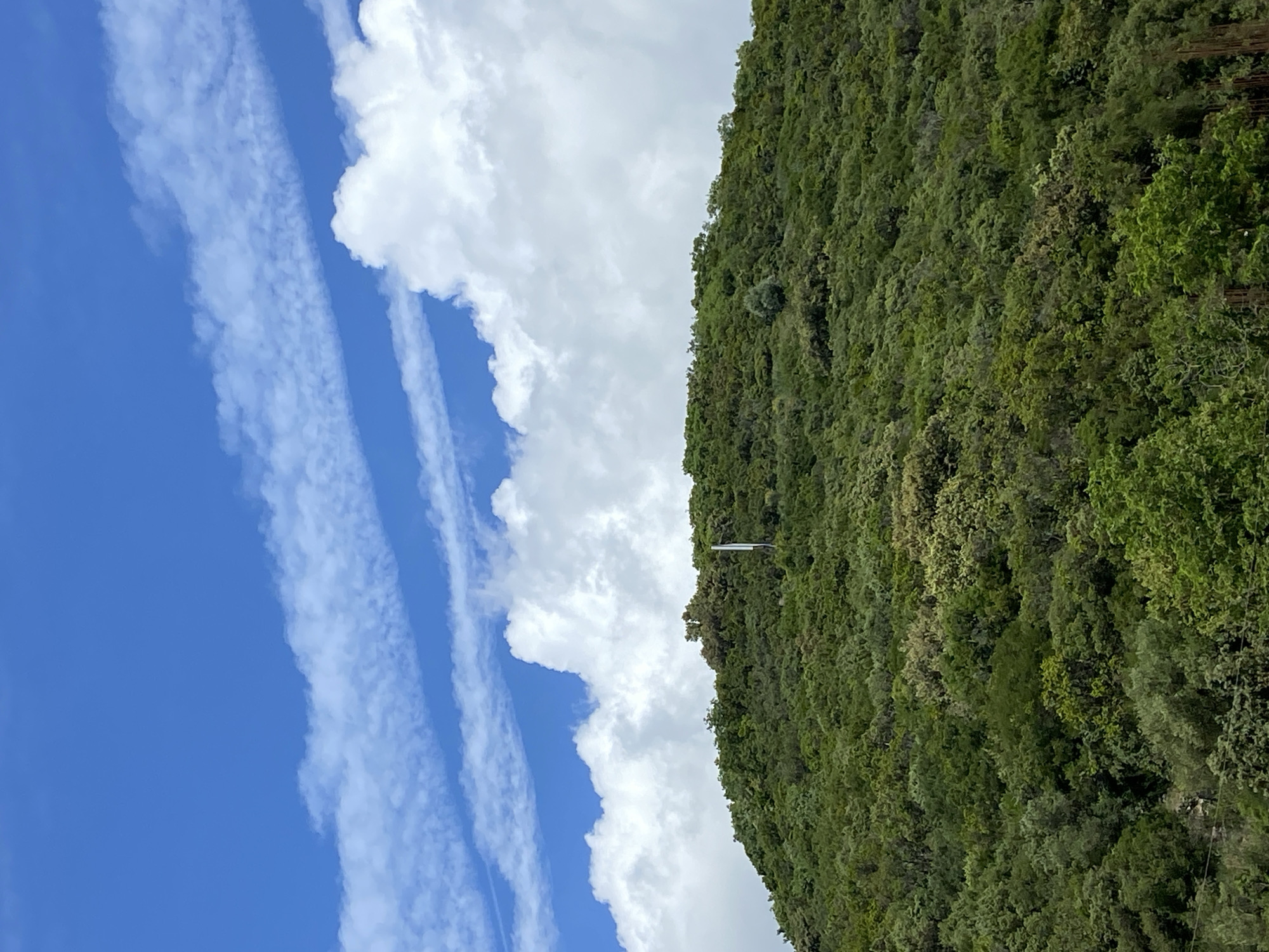 The image shows a forested hillside meeting a sky with scattered clouds, potentially near Prijevor, Montenegro. The hillside is covered with dense green foliage. The sky transitions from a clear blue with linear clouds to a more densely clouded area. A tall, thin white structure, possibly a pole or antenna, is partially visible against the green backdrop of the hillside. The image is presented in a rotated orientation.