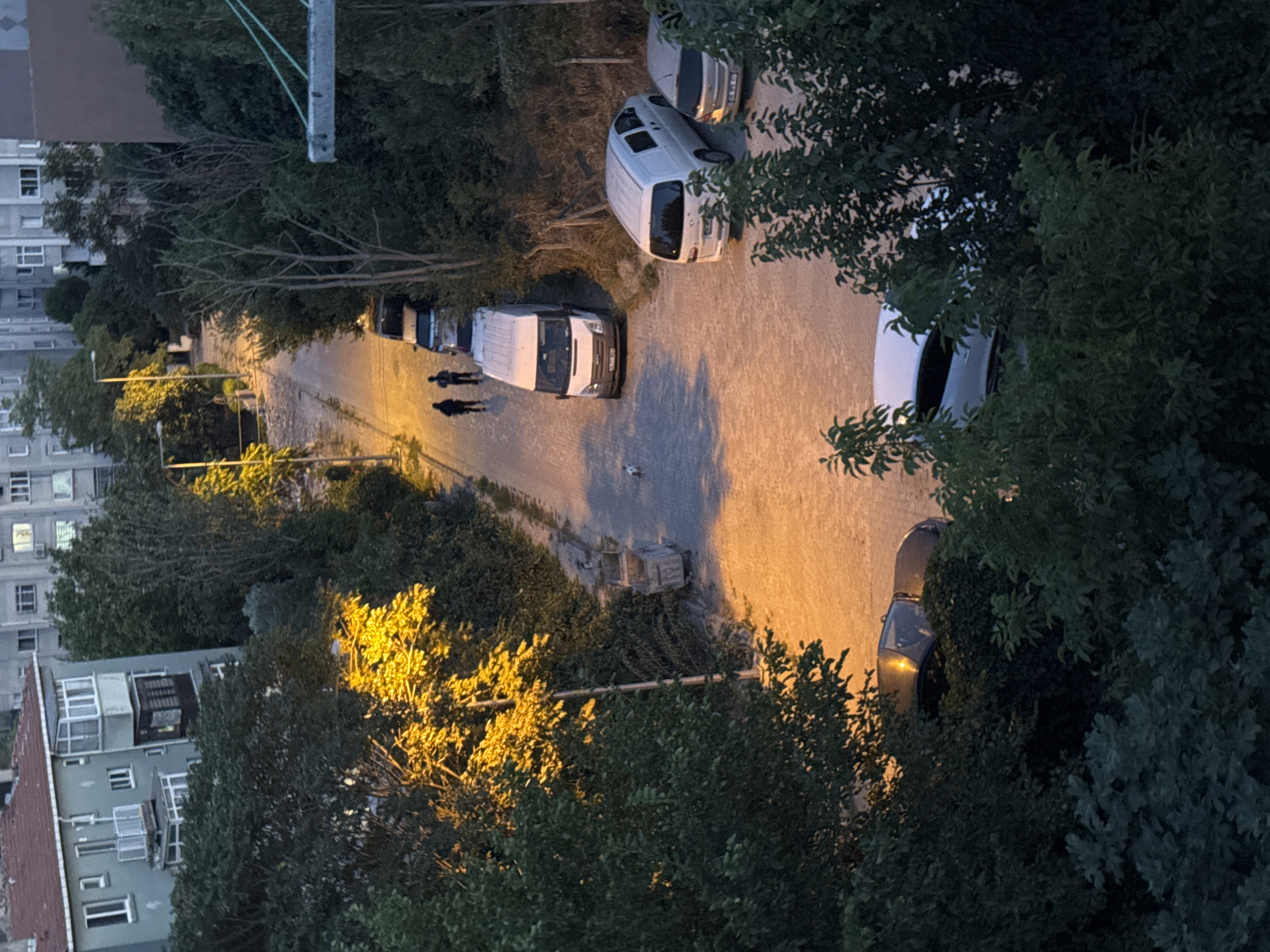 In the city of Gungoren, Turkey, at dusk, a paved street is illuminated by streetlights, casting a warm glow on the surrounding dense foliage and buildings. Two individuals are walking away from the camera on the street, while a small white dog is also present on the road. Several vehicles are parked along the street and in a small lot. These include a white panel van, a silver sedan, and a white minivan. In the foreground, dark green trees and bushes create a natural frame for the scene. Further back, buildings with apartment windows are visible. The overall atmosphere is quiet and residential, with a hint of the evening beginning.