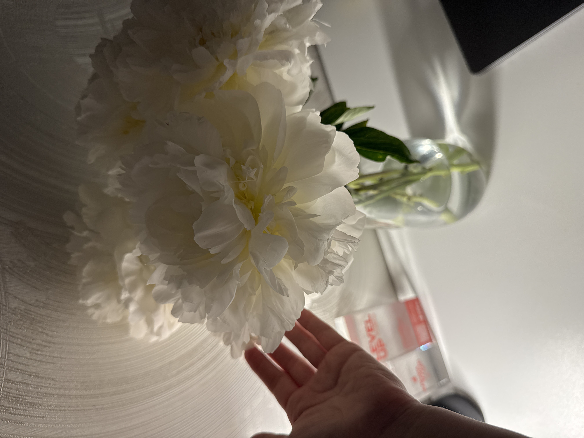 A hand reaches toward a large white peony bloom, part of a bouquet in a glass vase. The scene is set against a background of a white surface and wall. A product box with the phrase "LEVEL UP" is visible. The location and city are not discernible.