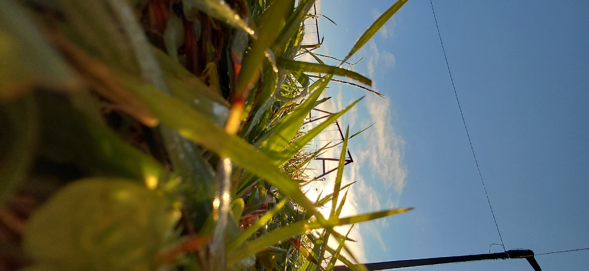 The image is a low-angle, close-up shot of green grass blades against a bright blue sky with scattered white clouds. The sun is visible, creating a lens flare and highlighting dew drops on the grass. In the background, a metal swing set with two swings is visible, along with a dark vertical pole and a thin horizontal wire stretching across the sky. The scene appears to be an outdoor recreational area, possibly a park or playground, located in Encarnación, Paraguay. The overall impression is one of a bright, early morning or late afternoon setting with natural light illuminating the grassy foreground.