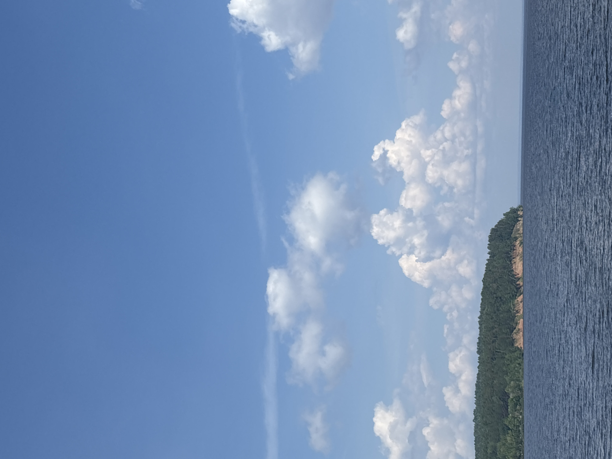 This is a photograph of a wide, dark blue body of water, likely a river or lake, with a forest-covered bluff rising in the distance on the left side of the frame. The bluff is a mixture of dark green coniferous trees and some lighter green deciduous trees, with exposed reddish-brown earth along its edge. The sky is a bright, clear blue with scattered white, puffy cumulus clouds. The water's surface is slightly rippled, suggesting a gentle breeze. The scene appears to be a natural landscape, possibly a park or scenic viewpoint, in or near the city of Chaikovsky, Russia. There are no people or man-made structures visible in the image.