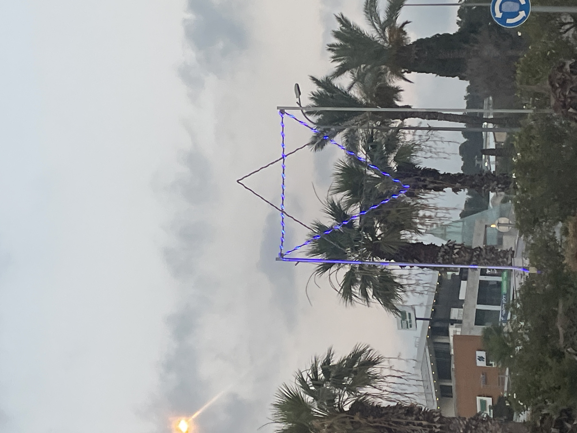 The image depicts a street scene in Shlomi, Israel, under a cloudy sky. A prominent Star of David decoration, outlined with blue lights, is suspended above several palm trees. In the background, buildings and foliage are visible, suggesting an urban or suburban setting. The lighting indicates it is either early morning or late afternoon. There are no people visible in the frame, and the focus is on the decorative element and the surrounding environment.