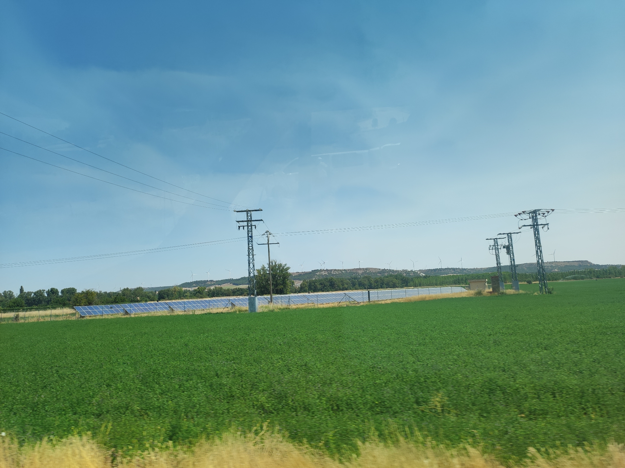 The image depicts a rural landscape in the province of Palencia, Spain. In the foreground, a vibrant green field stretches across the frame, with some dry, yellow vegetation at the very bottom. In the midground, a long row of blue solar panels is visible, bordered by a fence. Behind the solar panels, a line of trees forms a natural barrier, with rolling hills and more distant trees in the background. Several wind turbines are scattered across the hills, suggesting a renewable energy-generating area. Power lines and utility poles are present, indicating the presence of electrical infrastructure. The sky is a clear, pale blue with some faint white clouds. The overall scene is one of agricultural land interspersed with modern energy production facilities.