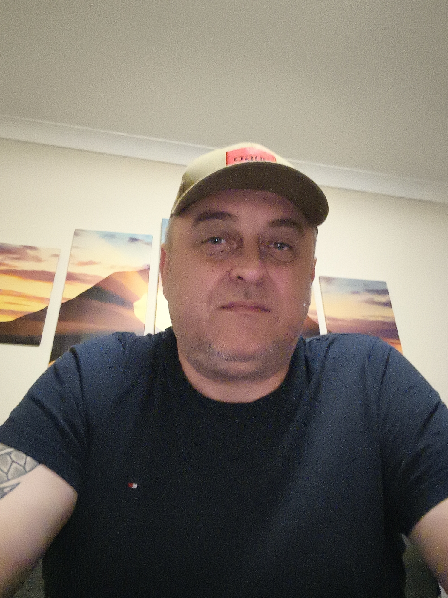 A man is captured in a head-and-shoulders portrait, looking directly at the camera. He appears to be in his 40s or 50s, with light skin, short hair covered by a cap, and light stubble on his face. His expression is neutral to slightly contemplative.
He is wearing a dark, possibly navy blue, short-sleeved t-shirt, which features a small rectangular logo on the left chest area, consisting of horizontal red, white, and blue segments. A decorative tattoo sleeve is visible on his left arm (viewer's right). On his head, he wears a khaki or olive-green baseball cap with a small, indistinct red emblem or design on the front.
The setting is indoors, likely a room in a home. Behind the man, a light-colored wall is adorned with three rectangular art panels arranged horizontally. These panels form a triptych, depicting a serene landscape scene, possibly mountains or sand dunes, under a sky rendered in warm hues of orange, yellow, and purple, suggesting either a sunrise or sunset. The top part of a plain, light-colored ceiling is also visible in the upper portion of the frame. The lighting in the room is soft and even, suggesting either diffused natural light or gentle artificial illumination.
No readable text is visible in the image. There are no explicit location cues within the image itself.