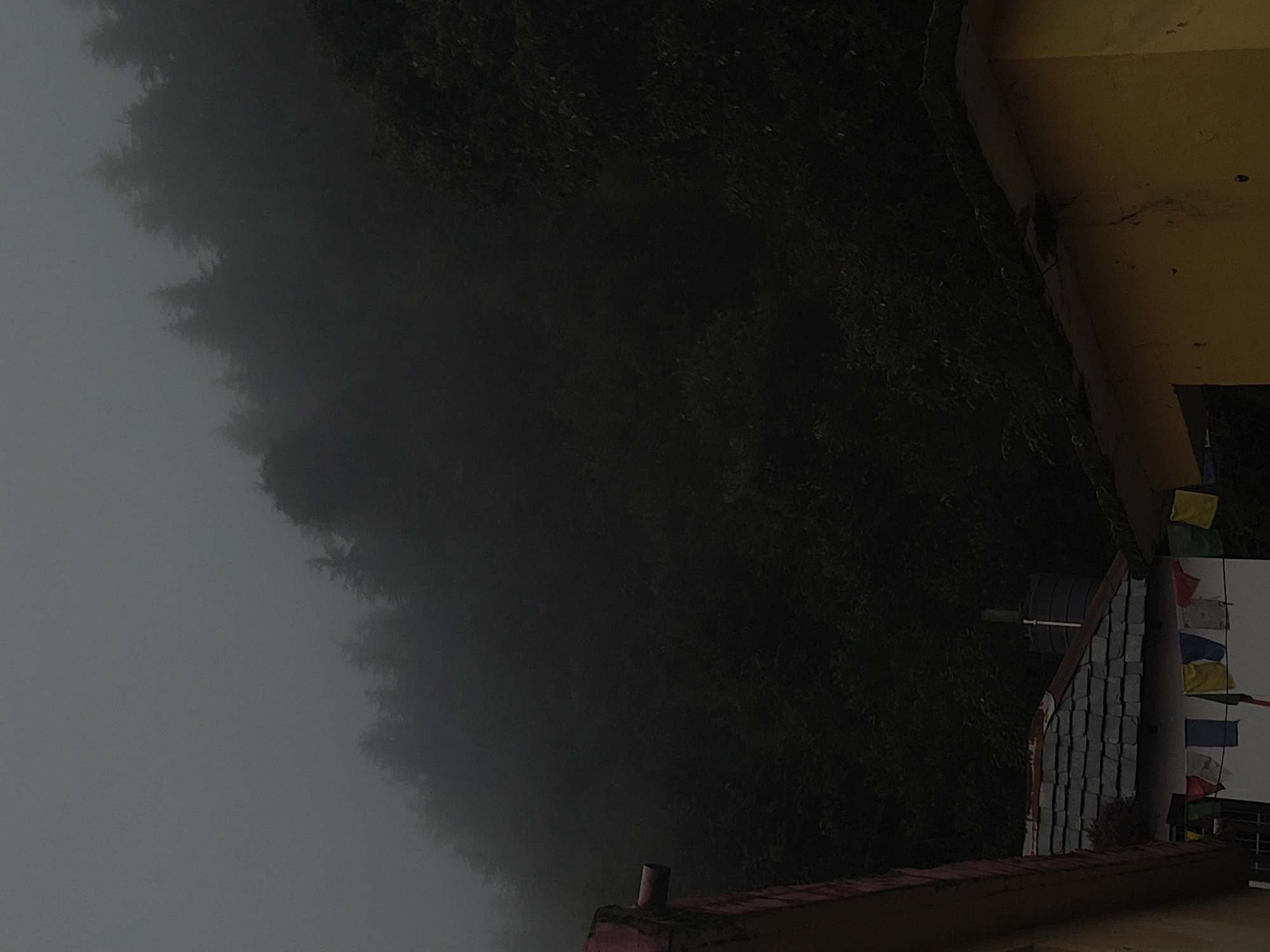 The image depicts a foggy mountainous landscape with a few buildings visible. The fog heavily obscures the upper portion of the image, which is filled with the silhouettes of trees. In the foreground, two buildings are partially visible. The building on the left has a pink and yellow exterior with a pipe protruding from its side. The building on the right is primarily yellow and appears to have a concrete roof. Between these buildings, a tiled roof with prayer flags hanging in front of it is visible. A water tank is also present on this roof. The scene suggests a remote, possibly rural, location in Haini, India, characterized by its misty mountain environment and traditional architecture.