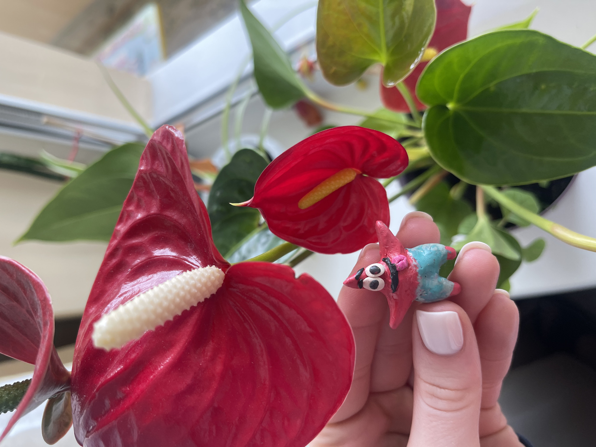 A close-up shot shows a person's hand with white nail polish holding a small, handmade figurine of Patrick Star from SpongeBob SquarePants. The figurine is pink with large black eyes, a wide smile showing a pink tongue, and blue shorts. The hand is positioned in front of a vibrant red anthurium flower, with a white spadix protruding from its center. Behind the flower, green leaves and hints of a window with a blurred background are visible. The image is taken indoors, and no specific location in Minsk, Belarus, can be identified.