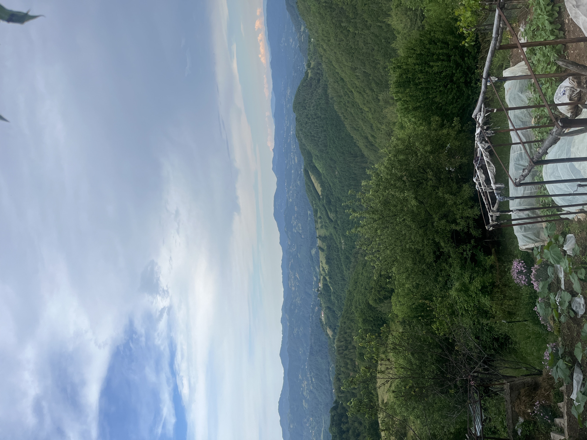 The image captures a panoramic view of a lush, mountainous landscape, likely taken from an elevated vantage point in or near Startsevo, Bulgaria. The foreground features a rustic garden area with several small hoop houses covered in white plastic sheeting, suggesting cultivation. Various plants, some with pink flowers, are visible in the garden beds. A bare tree with a thin trunk stands prominently in the left foreground.
Beyond the garden, the scene transitions into rolling green hills covered in dense forests. These hills recede into the distance, forming layered mountain ranges under a sky filled with a mix of blue patches and dramatic clouds. The atmosphere appears serene and natural, showcasing the characteristic topography of the Bulgarian countryside. There are no people or animals visible in the image. The overall impression is one of rural tranquility and natural beauty.