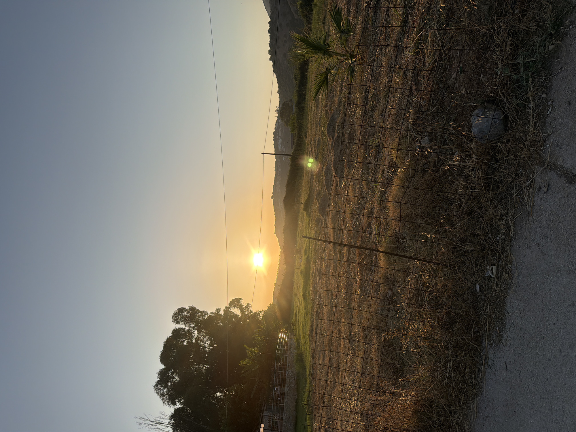 A vertical, wide shot captures a sun-drenched field at sunset near Georgioupoli, Greece. The sun is low on the horizon, casting a warm glow across the landscape and creating lens flare. A chain-link fence runs through the foreground, separating dry, yellow grass from a patch of green. A small palm tree stands to the right. In the background, rolling hills are dotted with houses and trees. A building with a fence and covered patio is visible to the left, partially obscured by trees. The sky is a clear, pale blue, fading to a warm orange near the horizon. There are no people or animals present.