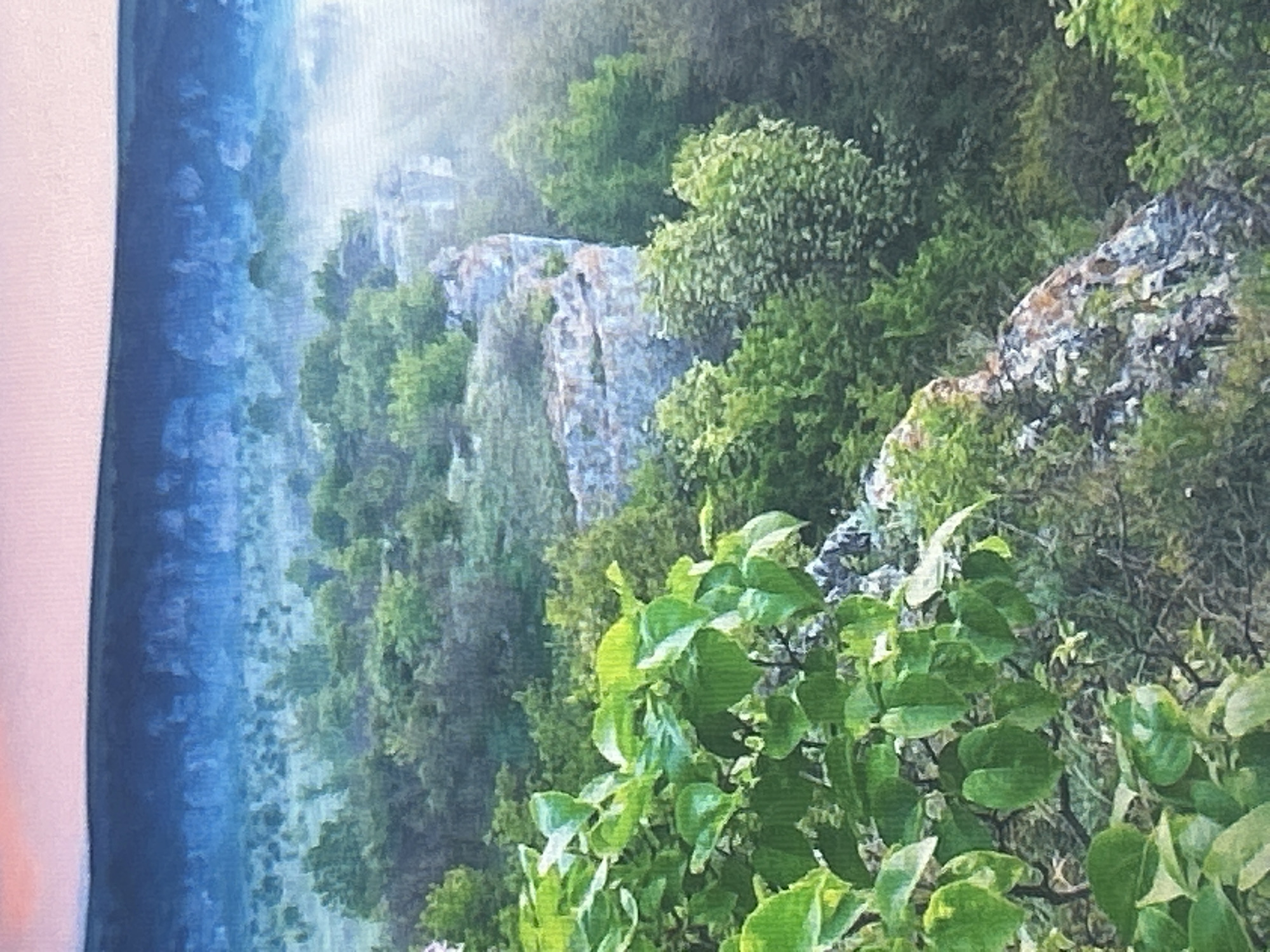 The image depicts a rugged, natural landscape with steep cliffs covered in lush green vegetation. In the foreground, large, vibrant green leaves from an unknown plant obscure parts of the view. Beyond the foreground foliage, the landscape drops away to reveal a rocky cliff face, intricately textured and showing layers of sediment. Further in the distance, a dense forest blankets the rolling hills, with mist or fog creating a hazy, atmospheric effect. The background is dominated by a dark, mountainous ridge, with a soft, pale pink sky visible at the very top, suggesting either dawn or dusk. The overall scene conveys a sense of wild, untamed nature. This landscape is likely Vitosha Mountain, located on the outskirts of Sofia, Bulgaria. There are no people or man-made objects visible in the image.