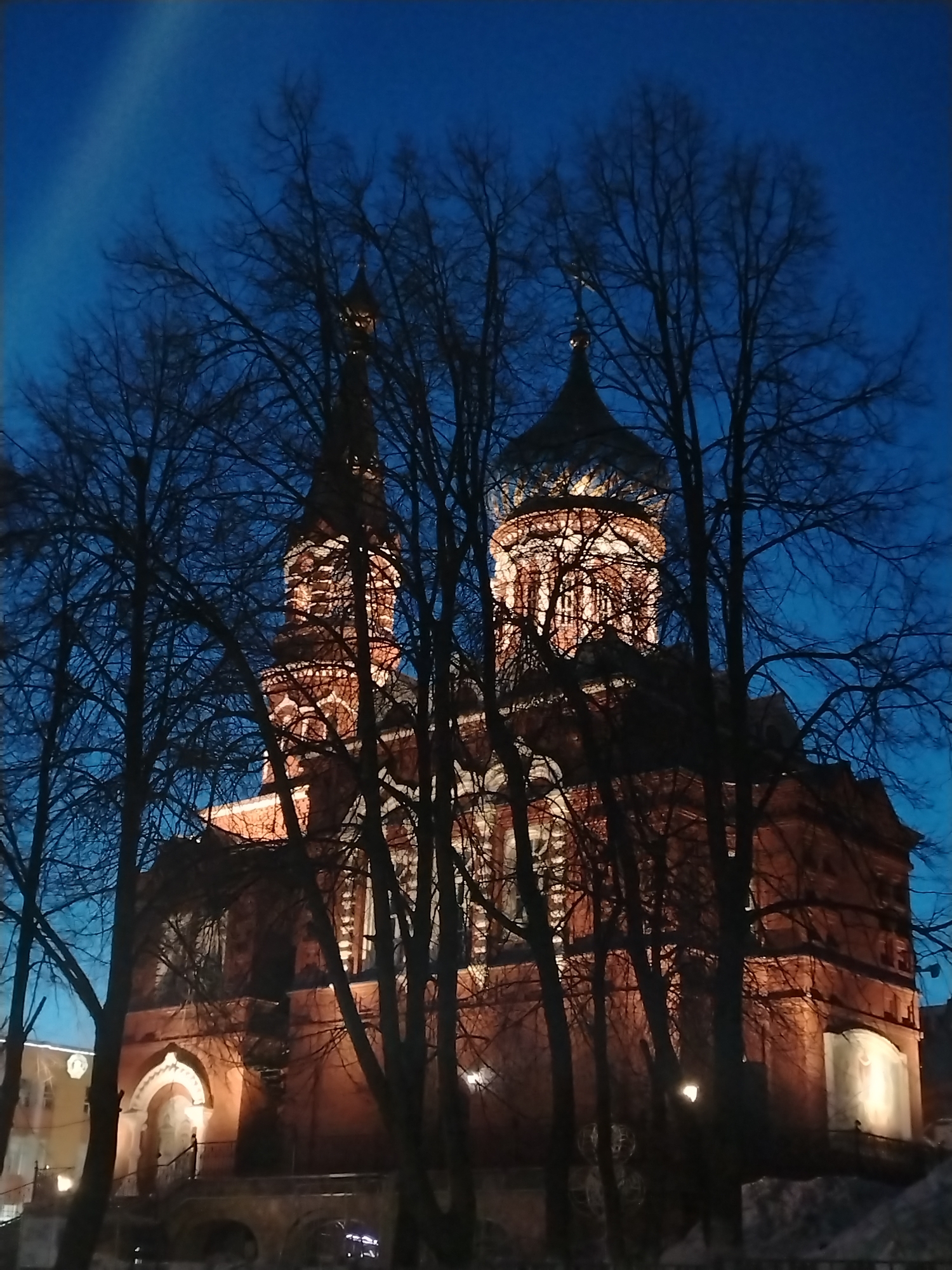 The image depicts the Cathedral of Alexander Nevsky in Izhevsk, Russia, at dusk or night. The building is made of red brick and features a tower and multiple domes, which are illuminated. Bare tree branches obscure part of the view. The sky is a dark blue. A building is seen on the left side of the image.