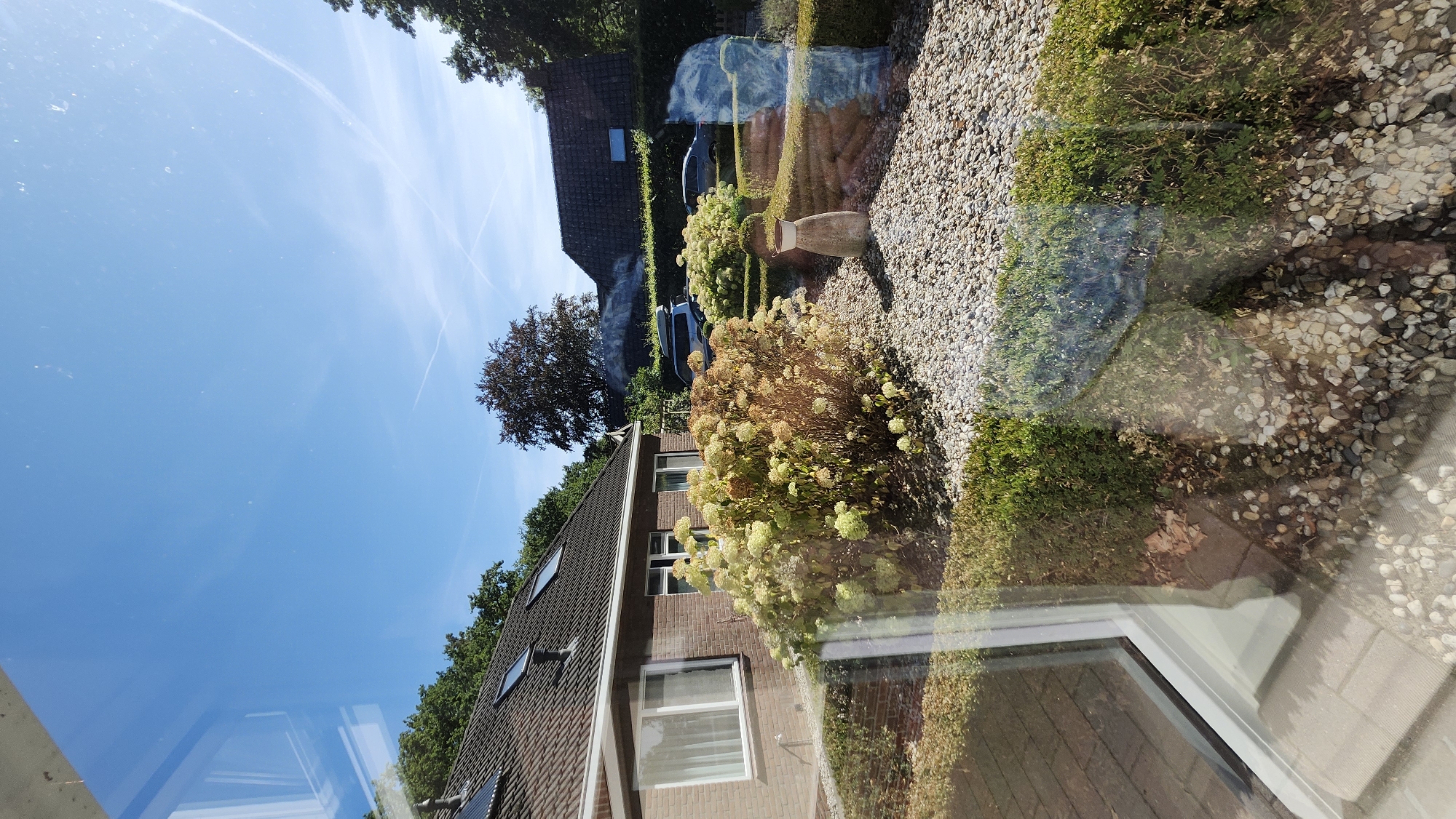 A residential scene captured through a glass pane, likely a window, in Exloo, Netherlands. The image shows a well-maintained garden with a brick house on the left, featuring a dark tiled roof and skylights. A large bush with pale green and brown flowers dominates the foreground, surrounded by a gravel path and manicured green hedges. A decorative stone vase with a metal rim stands near the bush. In the background, two cars are parked, one silver SUV and a darker sedan. Further back, another house with a dark roof and dormer windows is visible, partially obscured by trees. The sky is a clear, bright blue with faint white contrails from aircraft. The glass pane reflects the sky and some of the surrounding environment, creating a slightly distorted view of the scene.