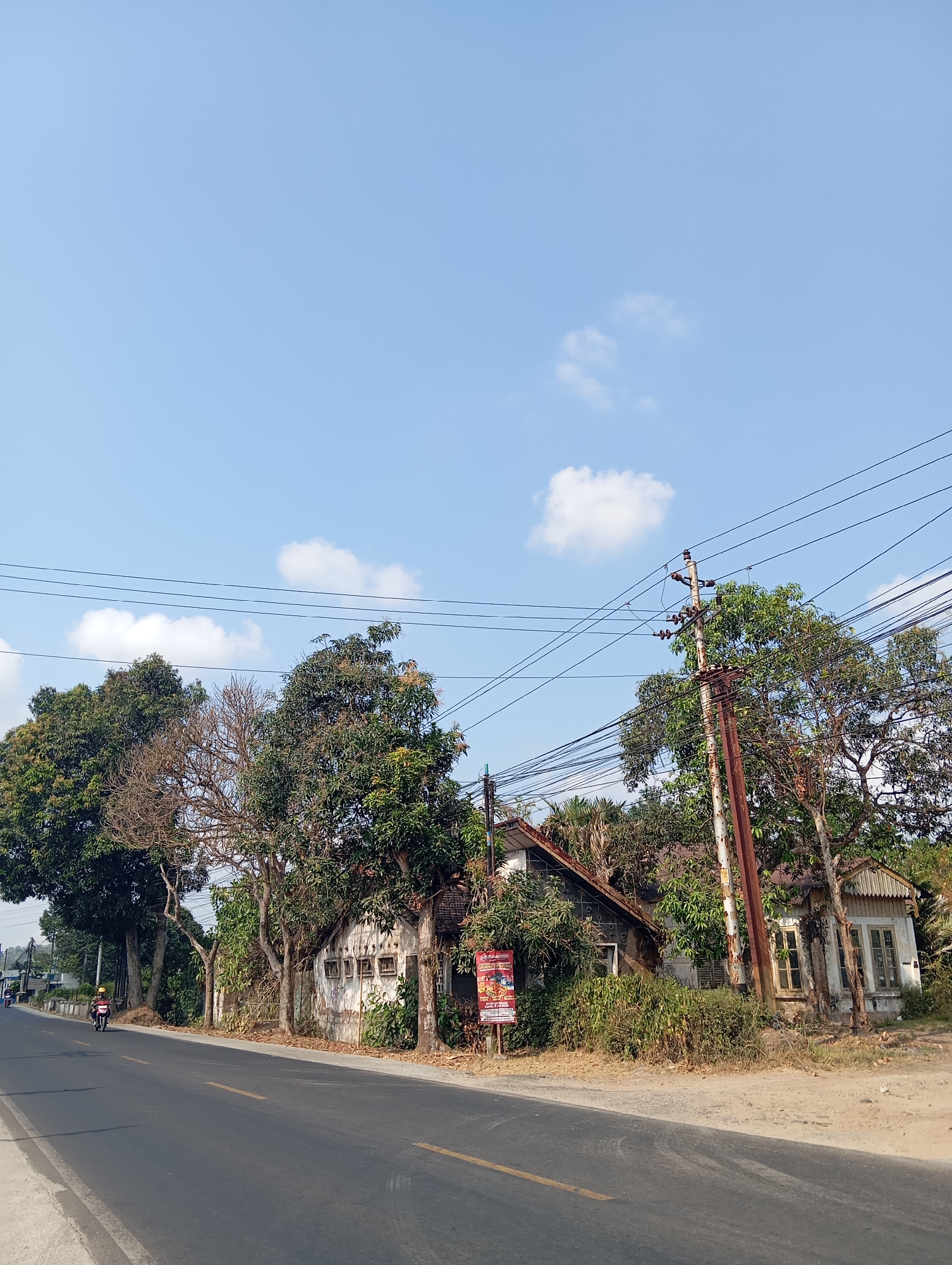 In Sokaraja, Indonesia, a rural scene unfolds with a paved road running diagonally across the frame. On the right side of the road, a weathered, single-story building with a white facade and a rusty, corrugated metal roof is partially obscured by lush green foliage. The building features several windows with wooden frames and some appear to be boarded up. A tall, rusty utility pole with numerous wires is situated in front of the building, and more overhead power lines crisscross the sky. To the left of the road, a line of trees with dense green canopies stands, with one tree in the center appearing bare and skeletal. In the distance, more trees and some low-lying structures are visible. A motorcycle with a rider wearing a yellow helmet is traveling away from the viewer on the left side of the road. The sky above is a clear, light blue with a few scattered white clouds.
