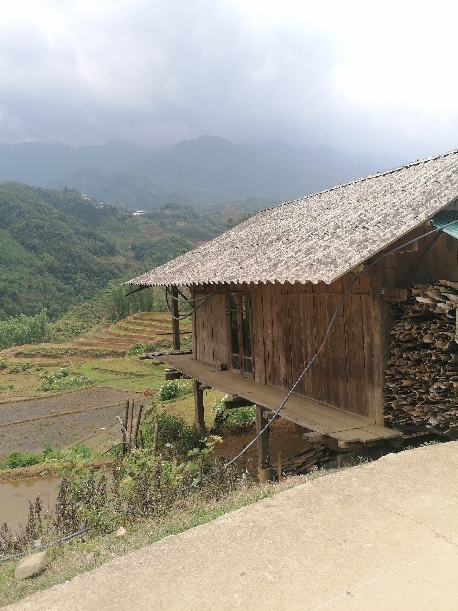 The image displays a tranquil, rural mountainous landscape, characteristic of Sa Pa Ward, Vietnam, under an overcast sky. In the foreground, a traditional wooden stilt house stands prominently, built with vertical wooden planks and topped with a corrugated asbestos cement roof. A wooden porch or balcony extends from the front of the house, and a dark pipe or cable is visible running from the structure. Against the right side of the house, a substantial stack of dried wood or bark is neatly piled, likely for fuel.
Beyond the house, the terrain slopes into a valley, revealing several tiers of terraced rice fields. Some of these fields are flooded with water, while others feature young, vibrant green rice plants, indicating active cultivation. Lush, verdant mountains, partially obscured by clouds or mist, stretch into the distant background, completing the scenic view. A concrete road or path occupies the immediate foreground, providing a visual boundary. The diffuse light from the cloudy sky creates a soft, gentle ambiance. No people or visible text are present in the scene, emphasizing the natural and architectural elements.