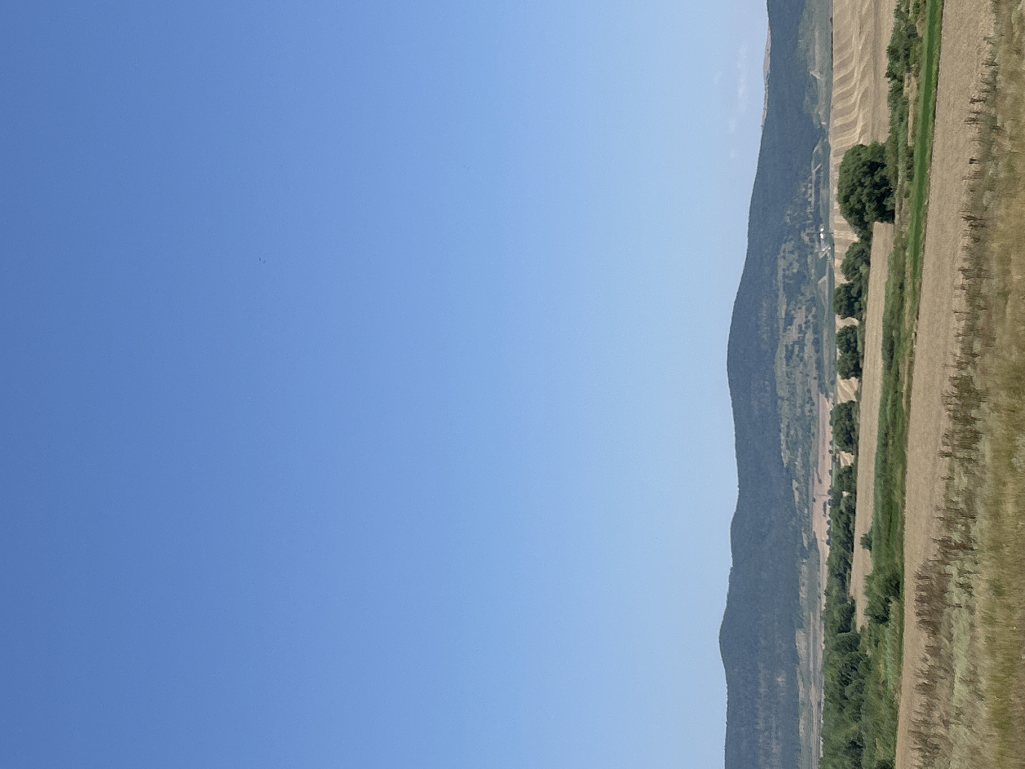 The image shows a wide agricultural landscape under a clear blue sky. In the foreground, there are fields of dry grass and stubble. Beyond these fields, there are areas of harvested crops, with visible rows indicating recent agricultural activity. A line of lush green trees forms a distinct border separating the foreground from the middle ground. Further in the distance, rolling hills covered in dark green vegetation rise to form a mountain range. The overall scene depicts a rural setting, likely in the countryside near Poroy, Bulgaria, characterized by vast open spaces and agricultural land. There are no people or animals visible in the image.